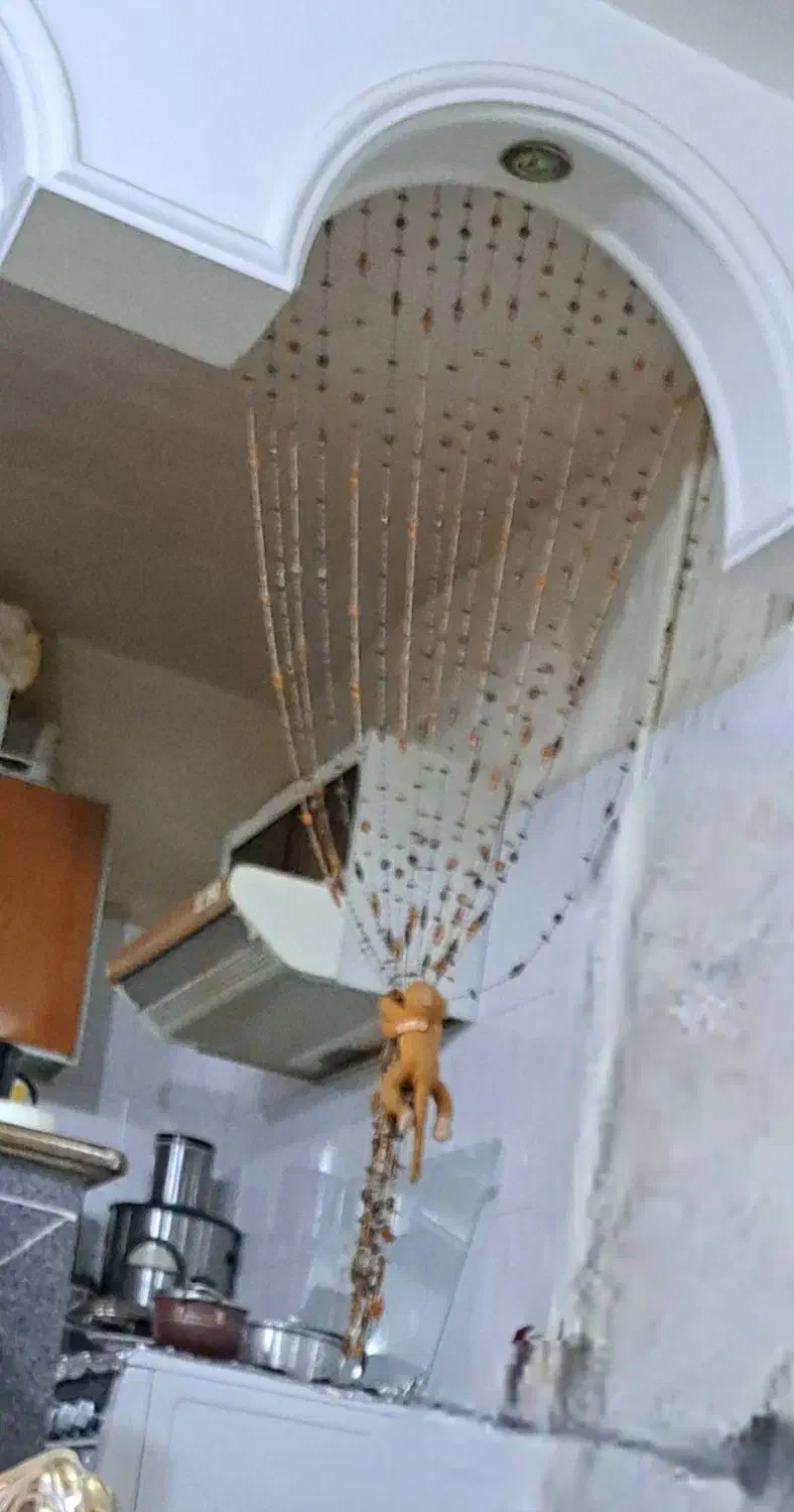 تزیینی|پرده، رانر، رومیزی|زاهدان, |دیوار