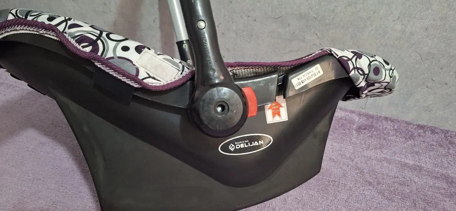 کریر دلیجان|کالسکه و لوازم جانبی|باقرشهر, |دیوار