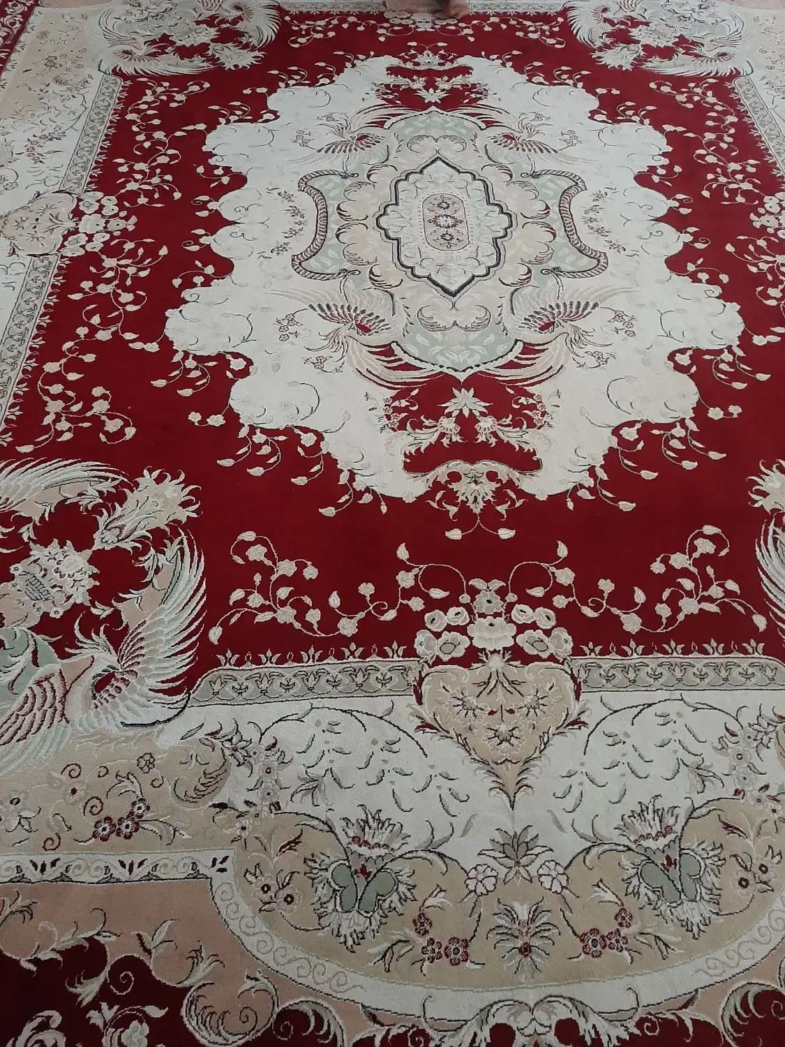 فرش دوازده متری|فرش|شوشتر, |دیوار