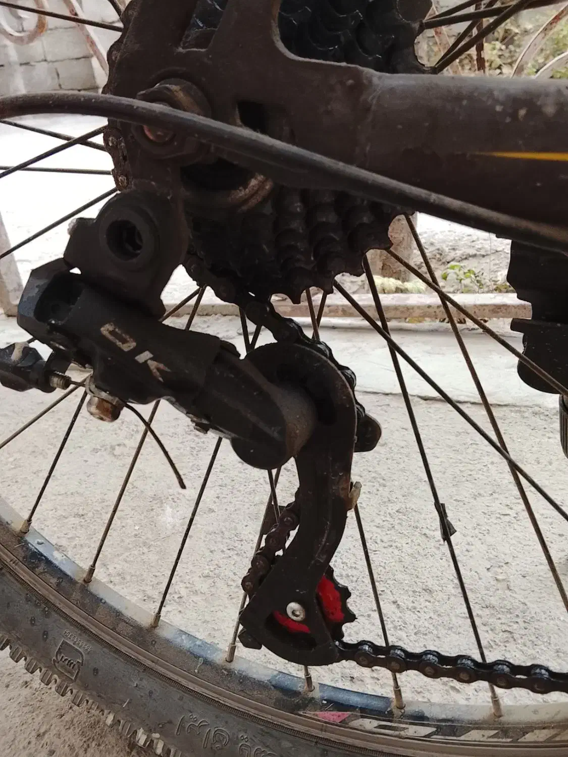 دوچرخه کاملاً سالم|دوچرخه، اسکیت، اسکوتر|سلماس, |دیوار