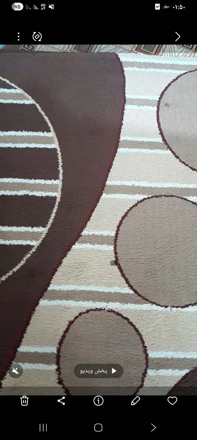 قالیچه|فرش|بندر انزلی, جهانگانی|دیوار