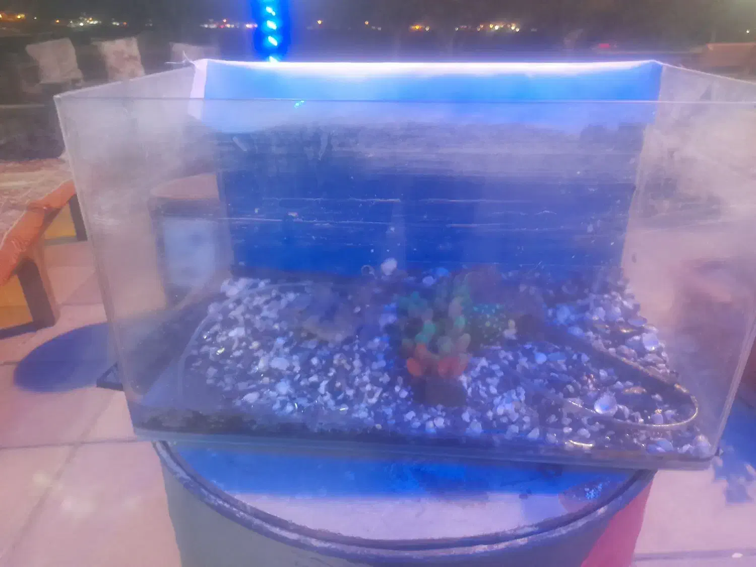 آکواریم شرکتی .باهمراه تسویه اب ،وسنگ شن..|ماهی|اندیشه, پرنیان|دیوار