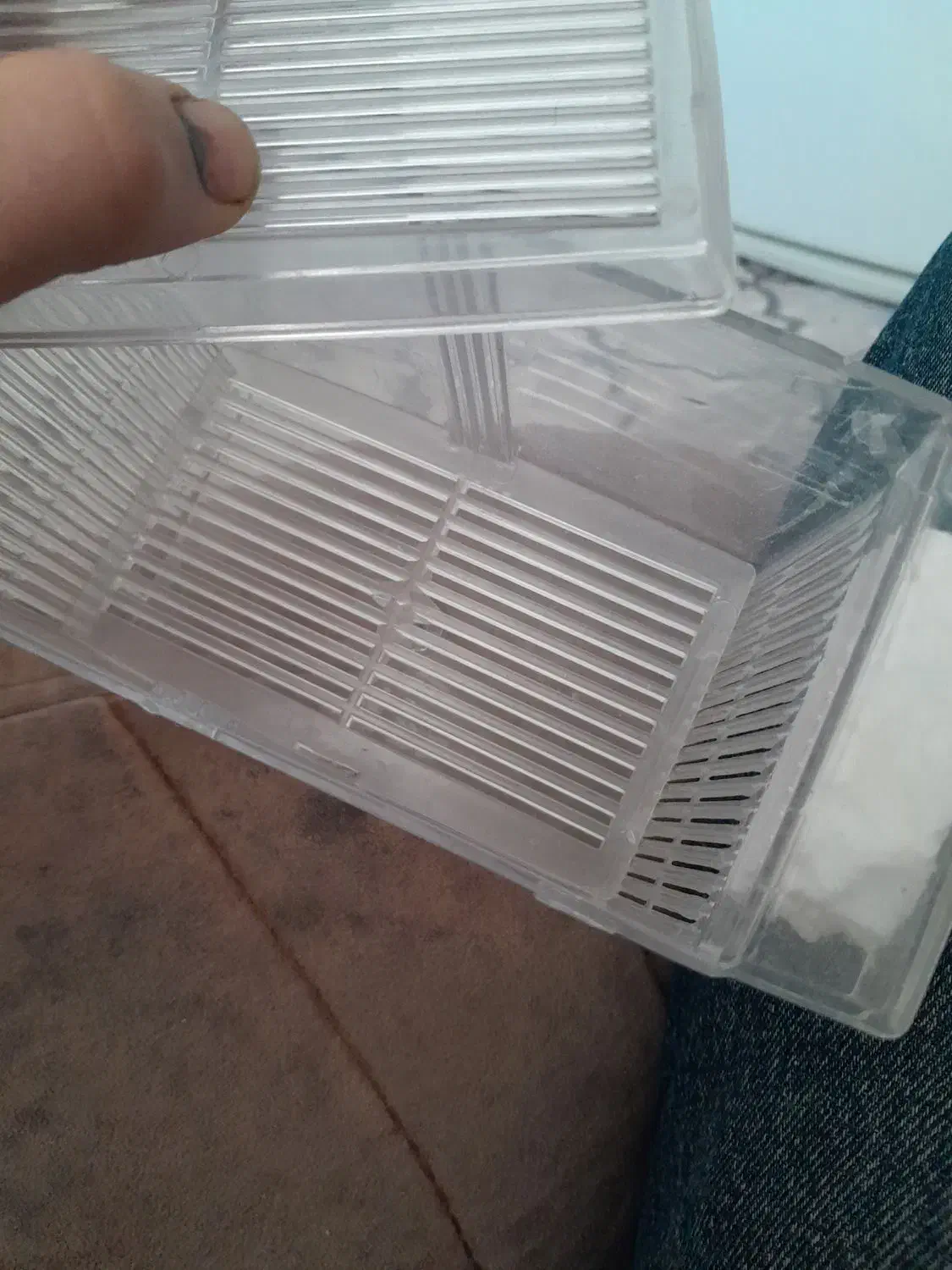 زایشگاه ماهی اکواریوم|ماهی|ملایر, |دیوار