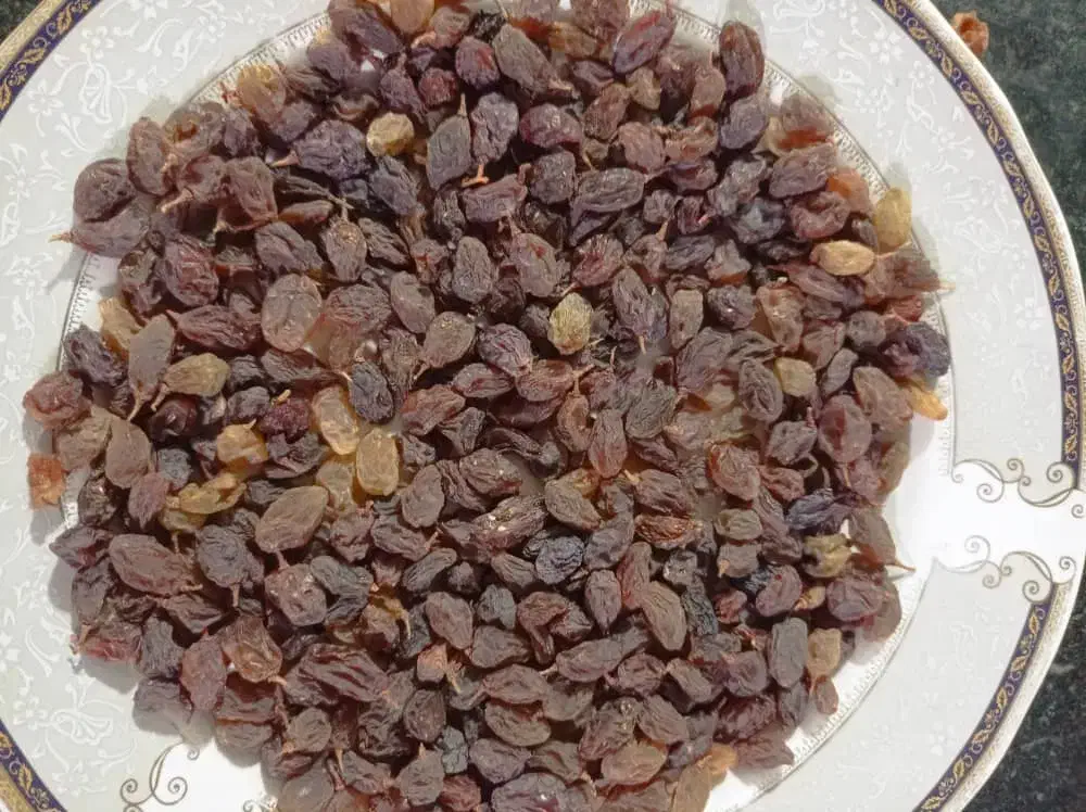 کشمش اورگانیک|خوردنی و آشامیدنی|یاسوج, |دیوار