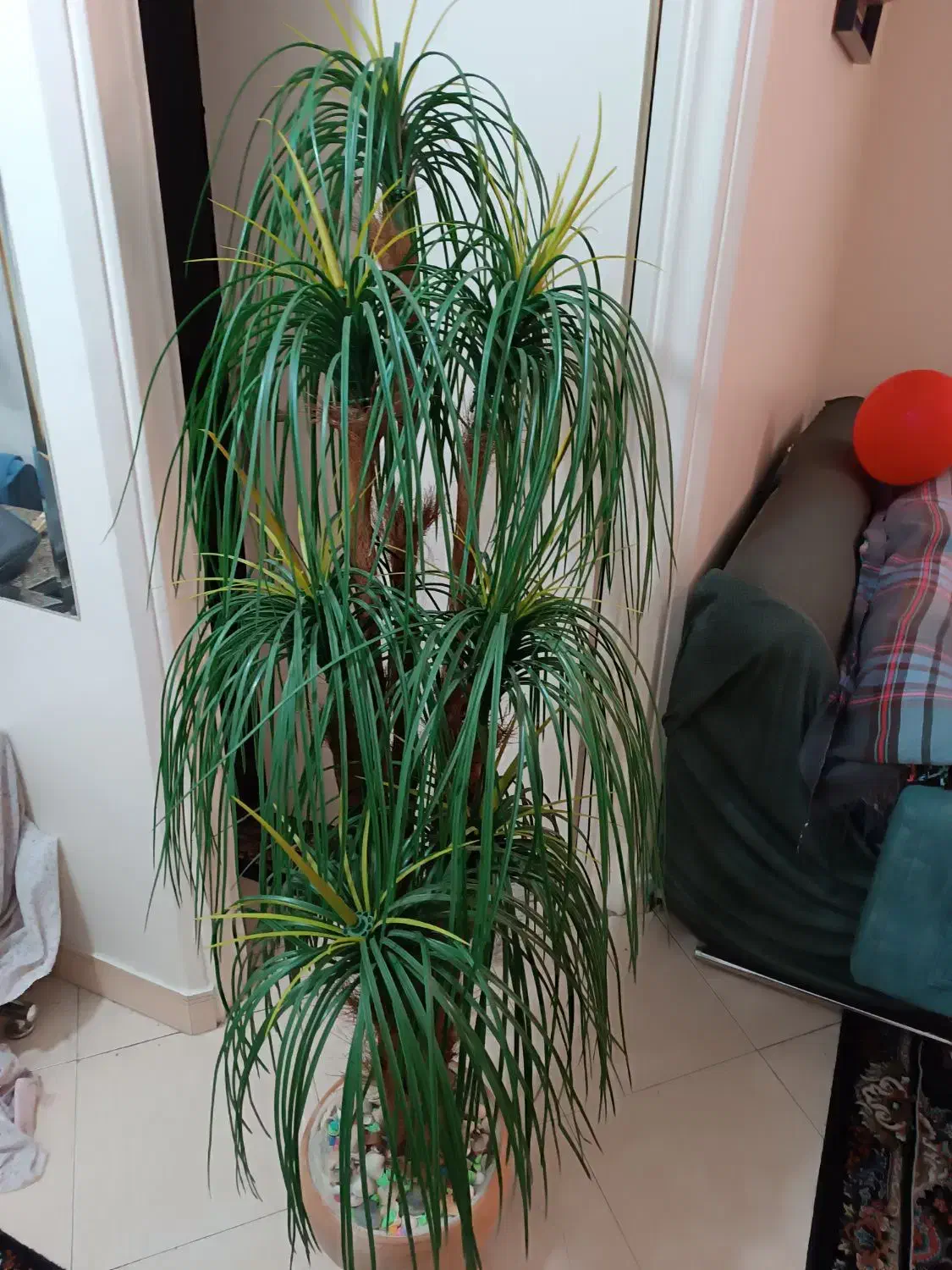 گل نخل هفت پر|گل مصنوعی|تهران, علم و صنعت|دیوار