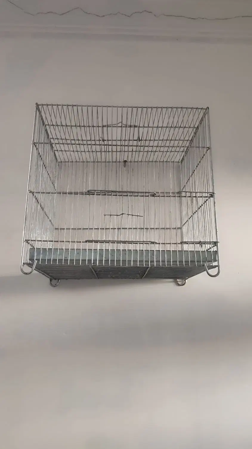 قفس|لوازم جانبی حیوانات|همدان, |دیوار