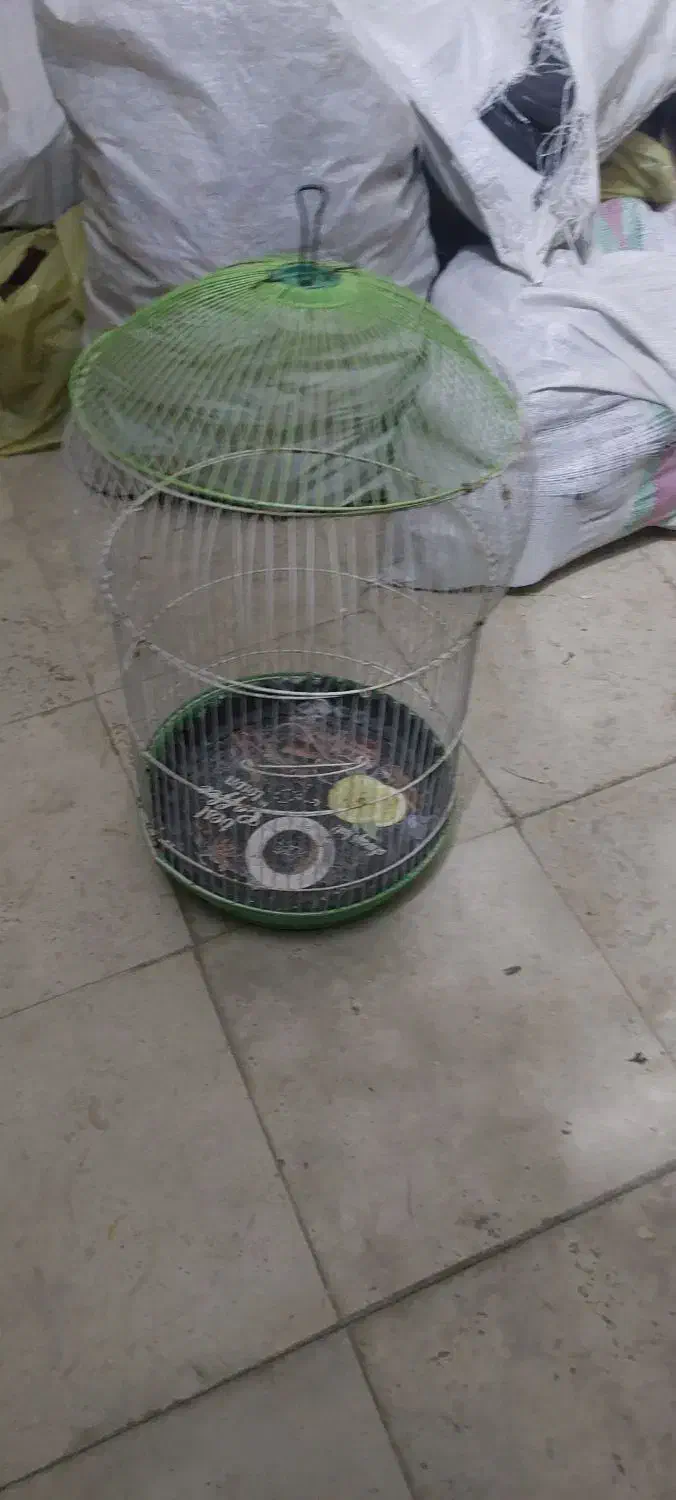 قفس|لوازم جانبی حیوانات|کرج, شهرک سهرابیه|دیوار