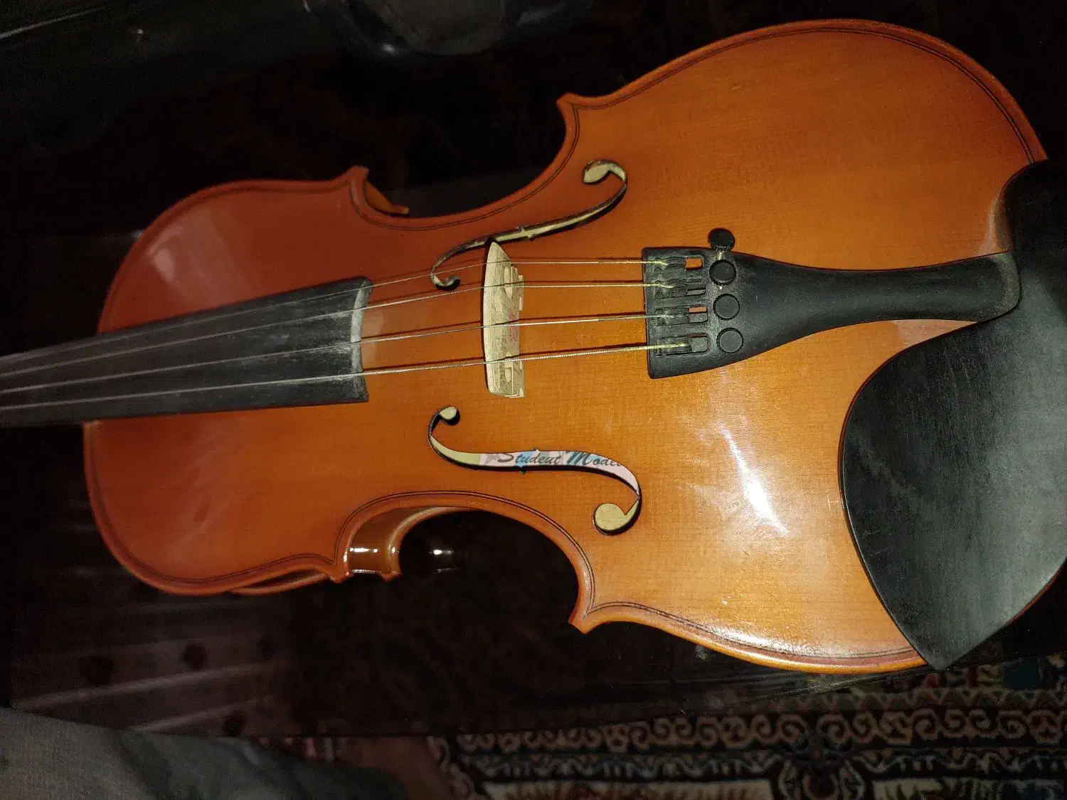 ویولن tf132|ویولن|اصفهان, باغ فردوس|دیوار