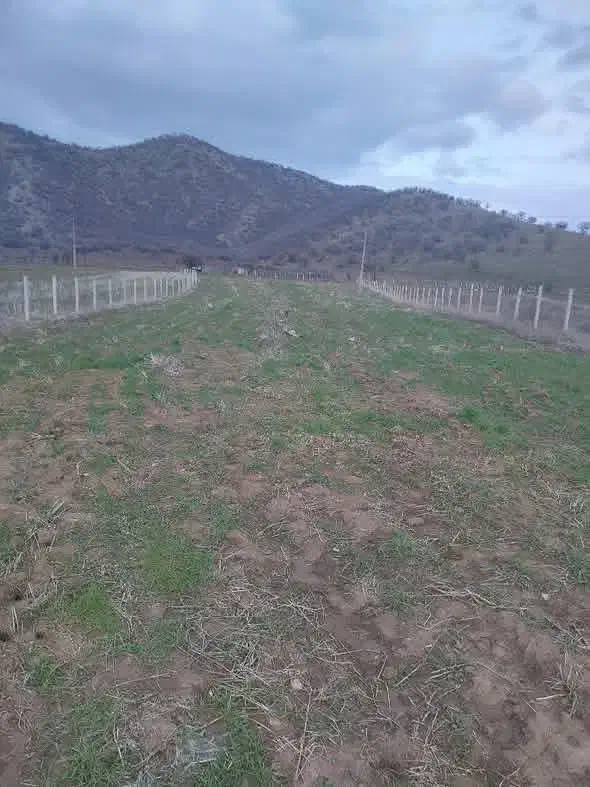 زمین به مساحت 4600متر  سر جاده اصلی|فروش دفتر صنعتی، کشاورزی، تجاری|خاو و میرآباد, |دیوار