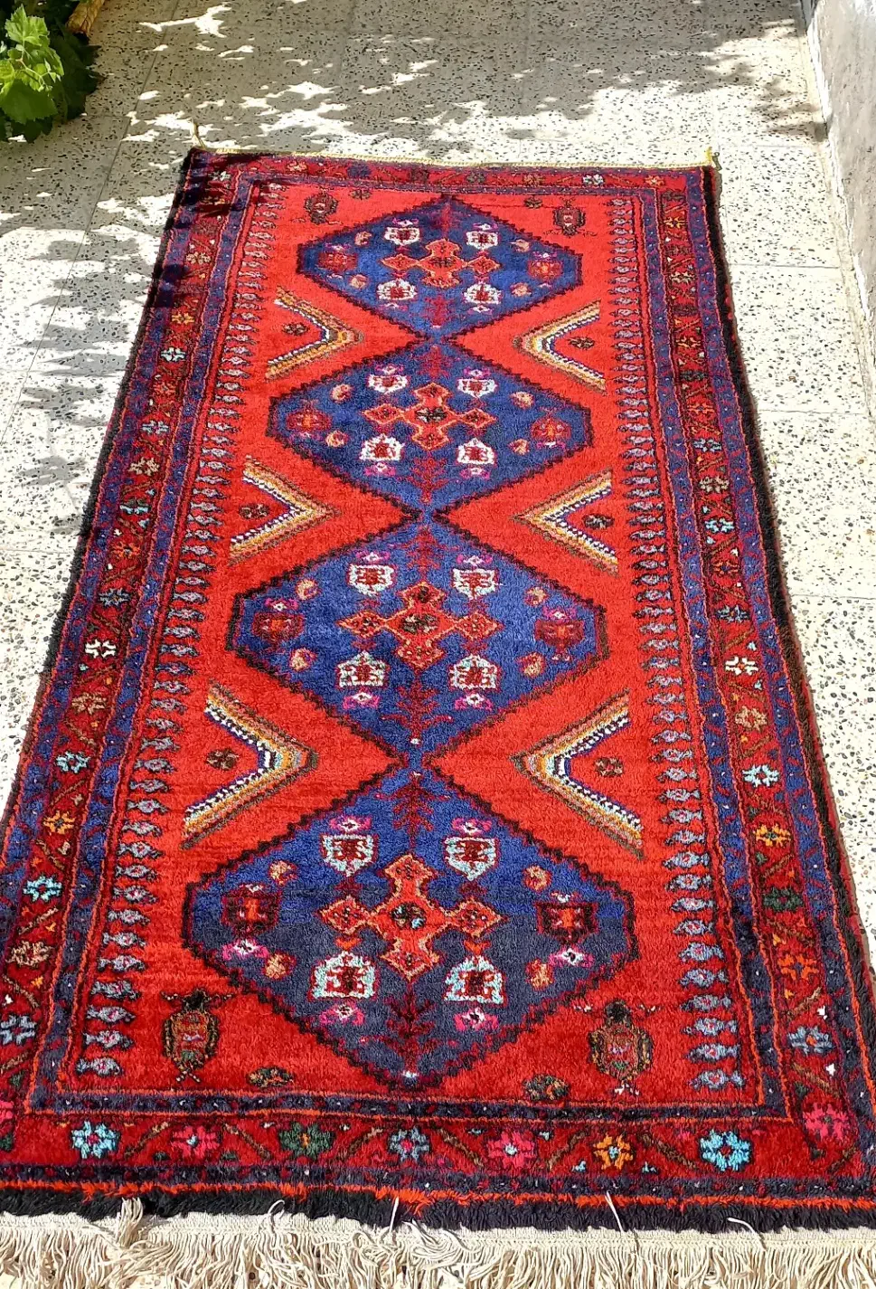 قالی دستبافت قدیمی|فرش|الوند, |دیوار