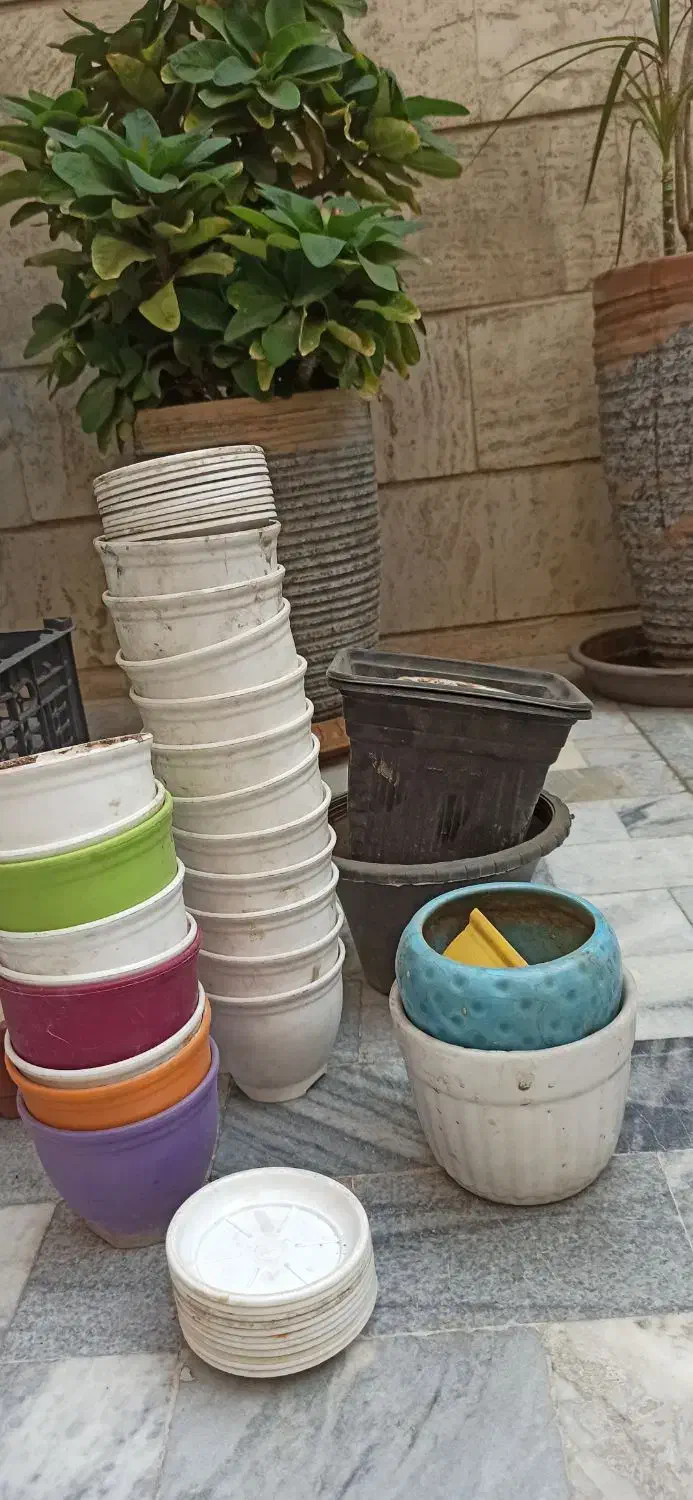 گلدان|گل و گیاه طبیعی|تهران, سلسبیل شمالی|دیوار