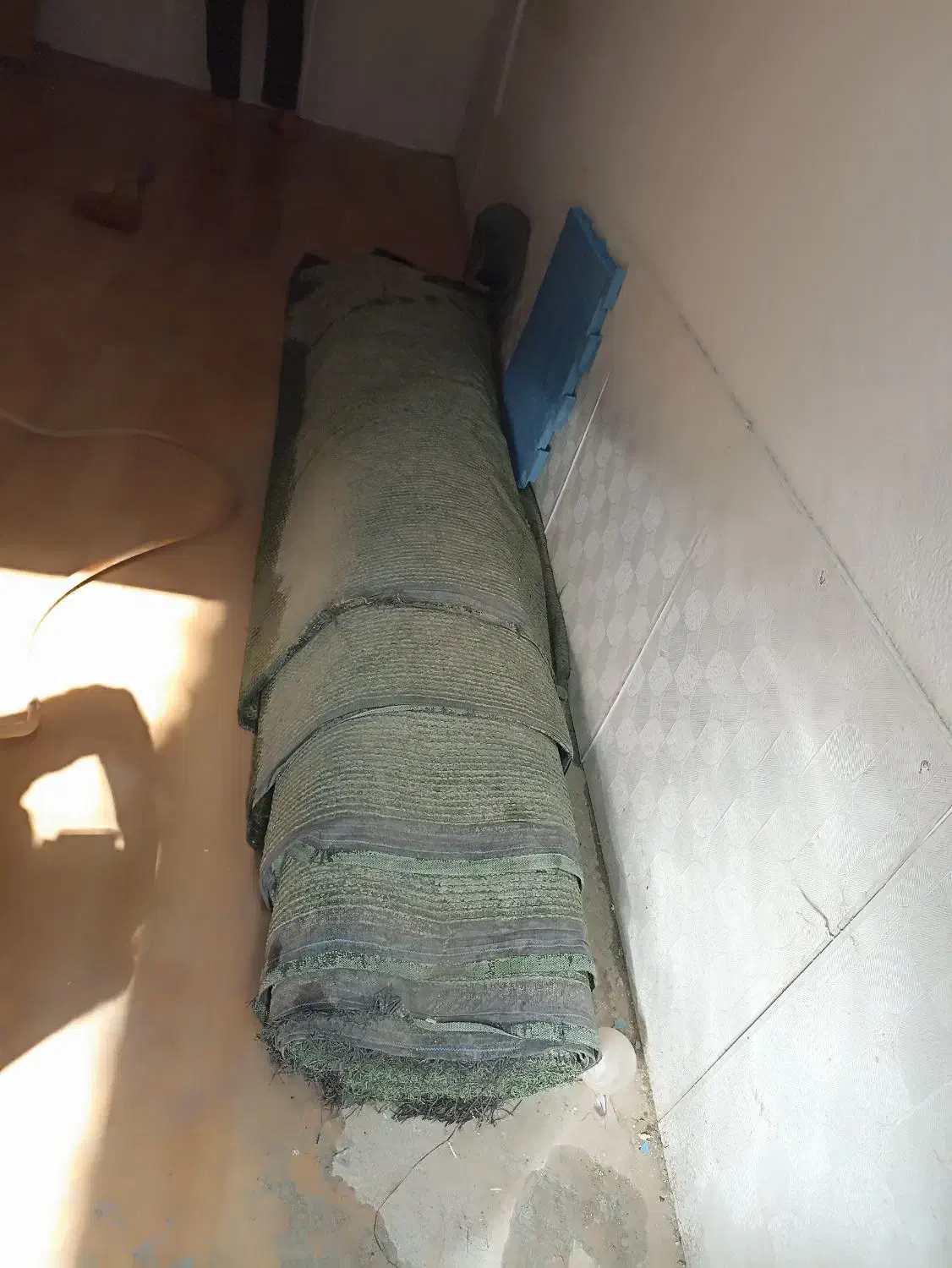 چمن مصنوعی|گل مصنوعی|مشهد, تربیت (صدف)|دیوار