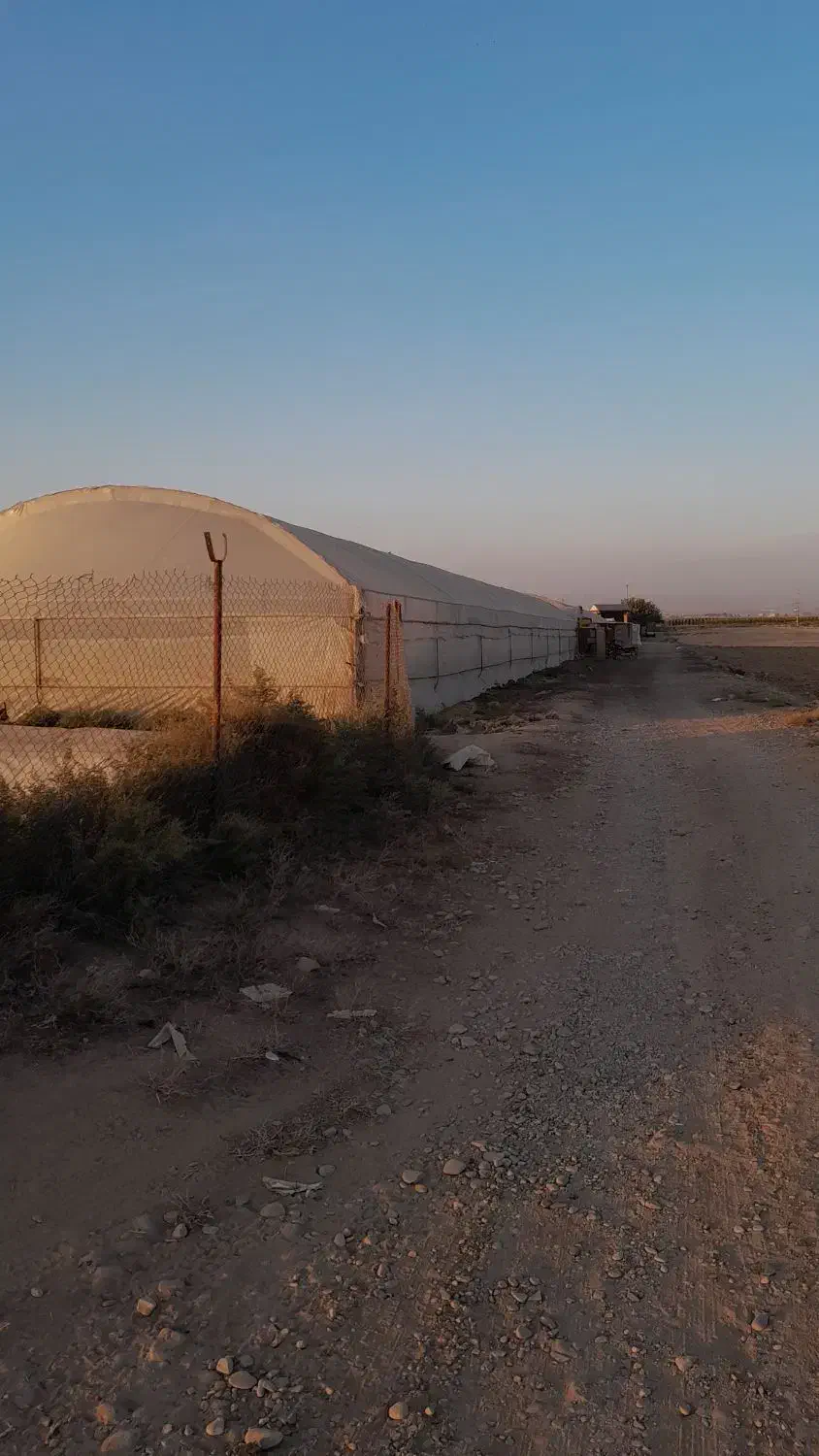 گلخانه فلزی ۴۰۰۰ هزار متر|فروش دفتر صنعتی، کشاورزی، تجاری|شریفآباد, |دیوار