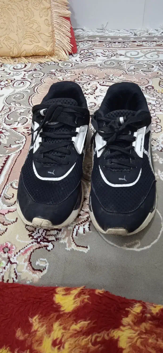 کفش تاناکورا|کیف، کفش، کمربند|جوانرود, |دیوار