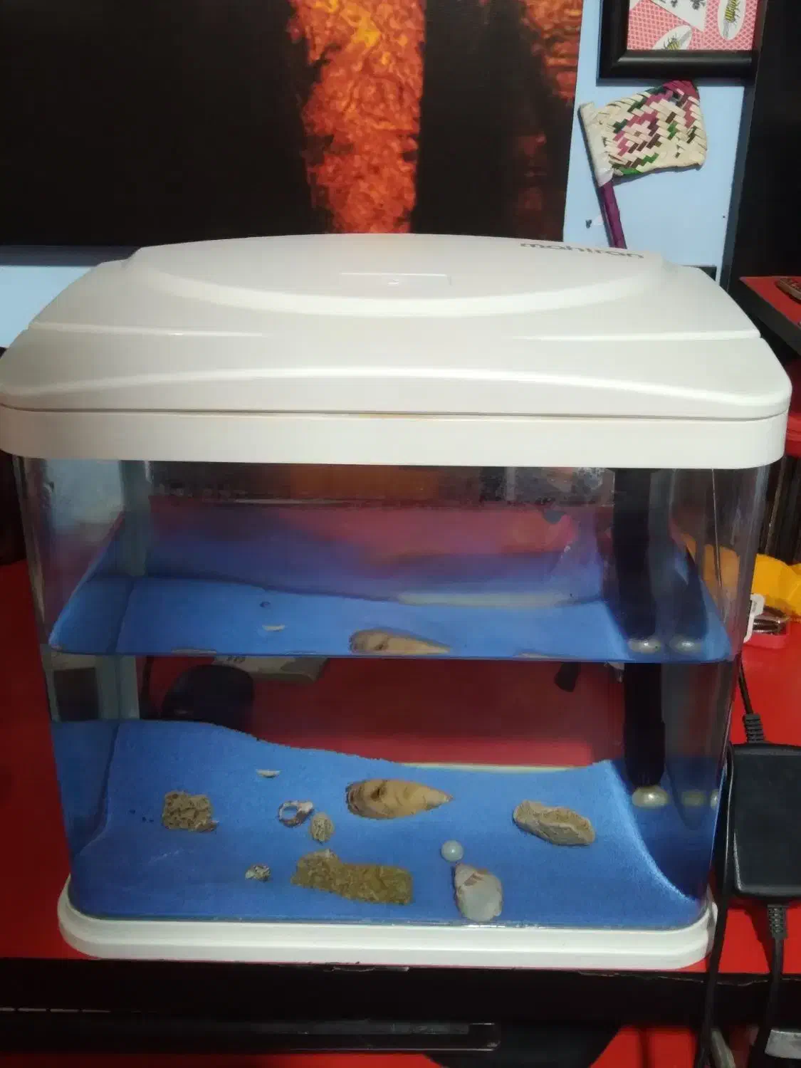 آکواریوم شرکتی ماهیران با نور سه حالته و فیلتر|ماهی|تهران, امانیه|دیوار