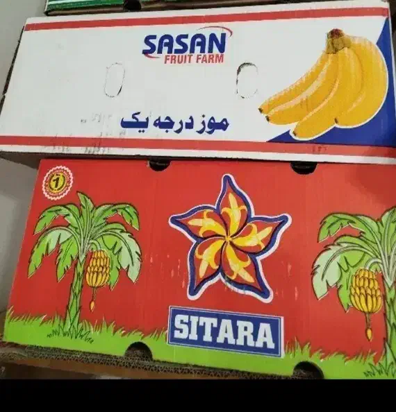 کارتون موزی|حراج|مشهد, مشکینی (شهرک غرب)|دیوار