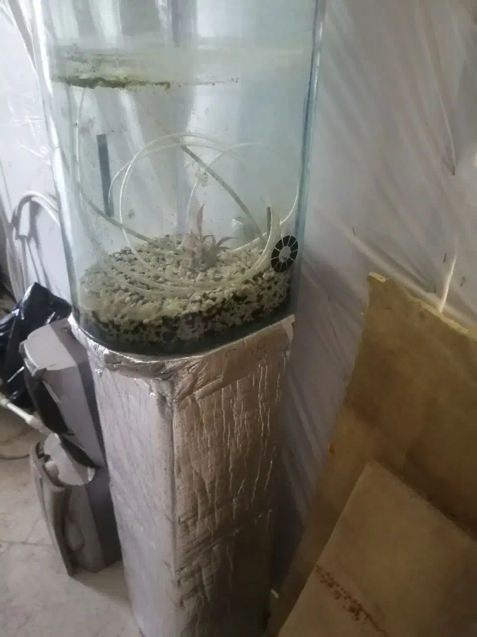 آکواریوم شیشه‌ای|ماهی|گرگان, |دیوار