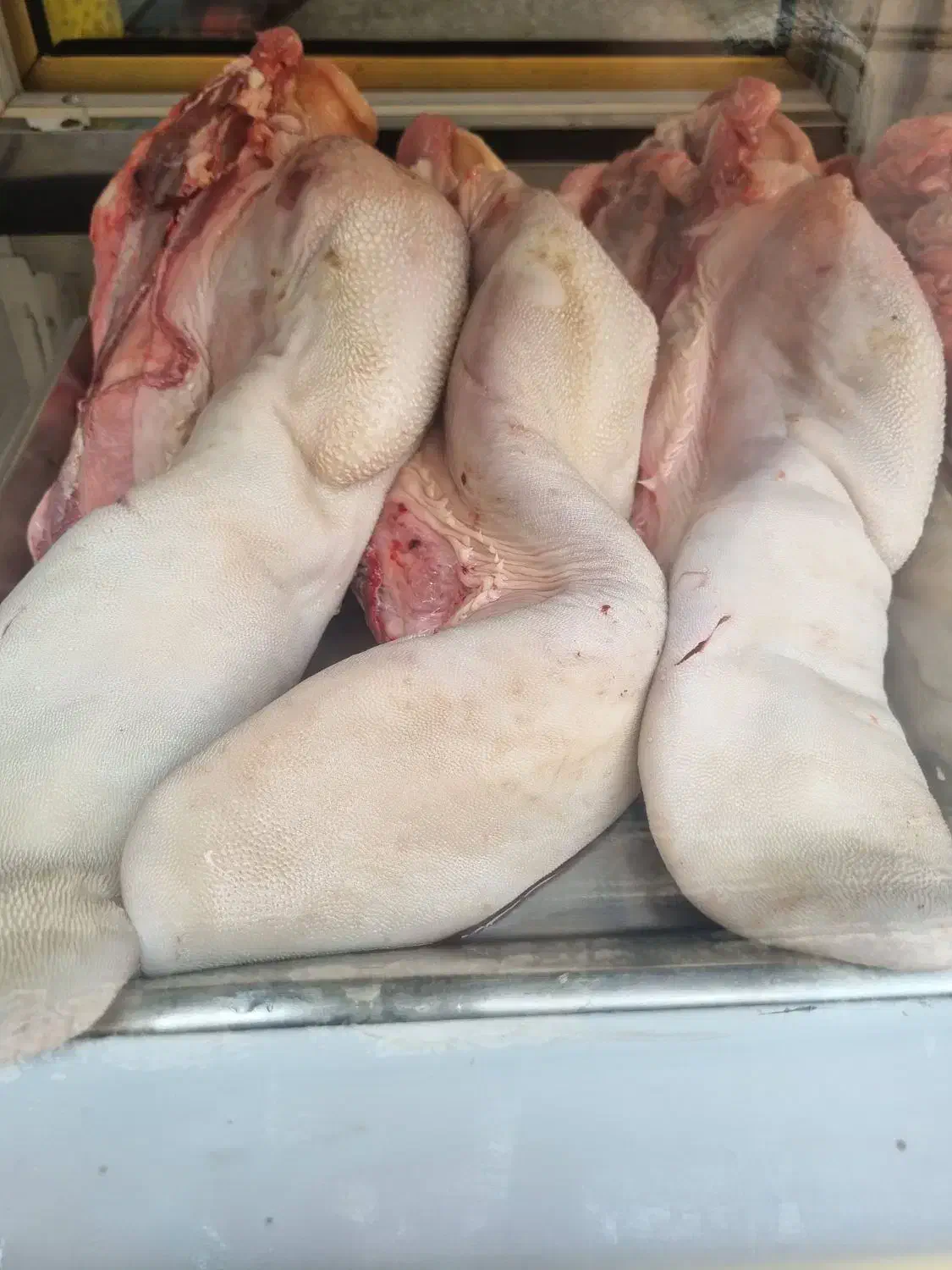 زبان ومغز گوساله|خوردنی و آشامیدنی|تهران, جوادیه|دیوار