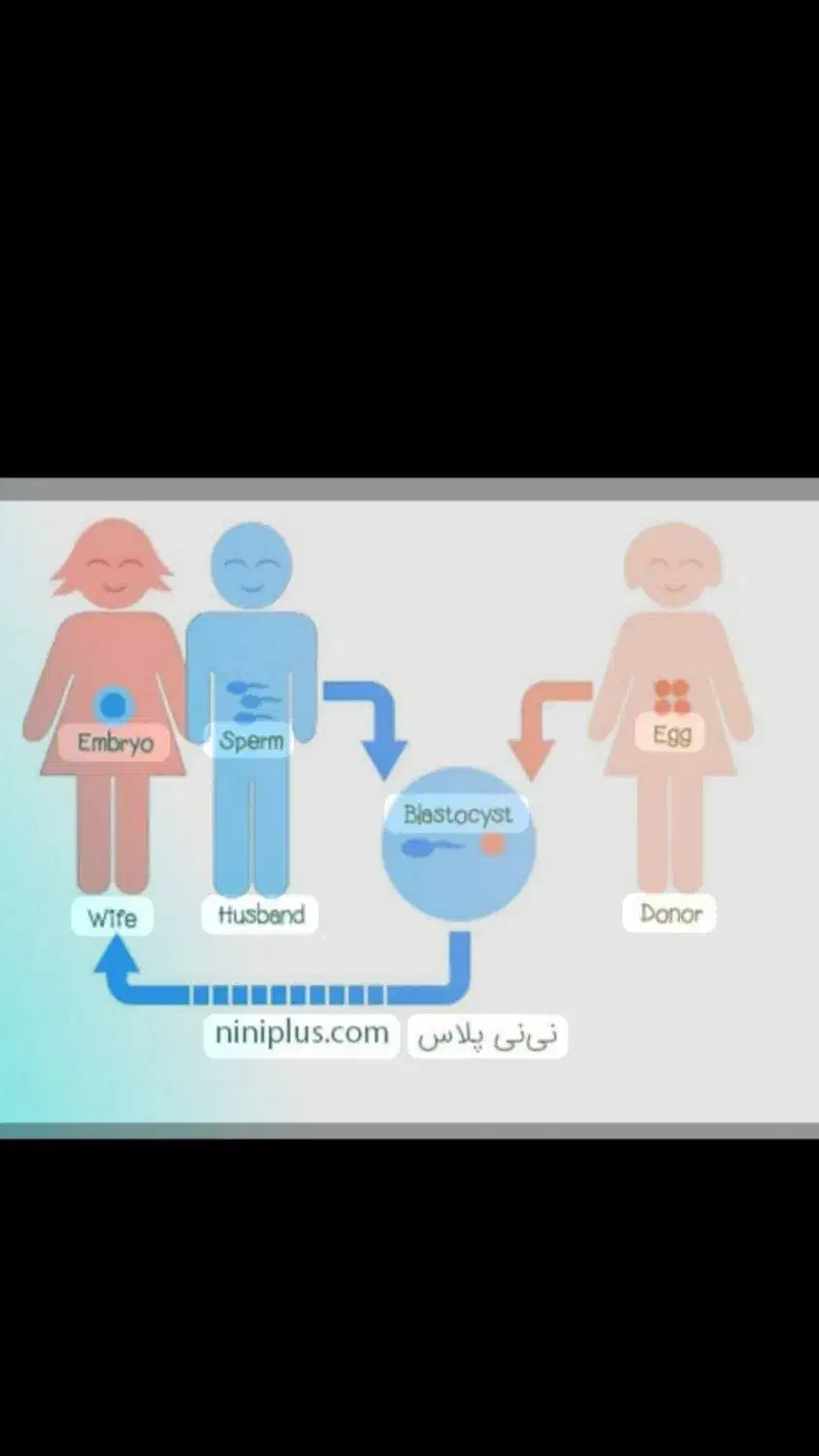 اهدا تخمک برای زندگی|فعالیت داوطلبانه تحقیقاتی|کرج, فاز ۳ گوهردشت|دیوار
