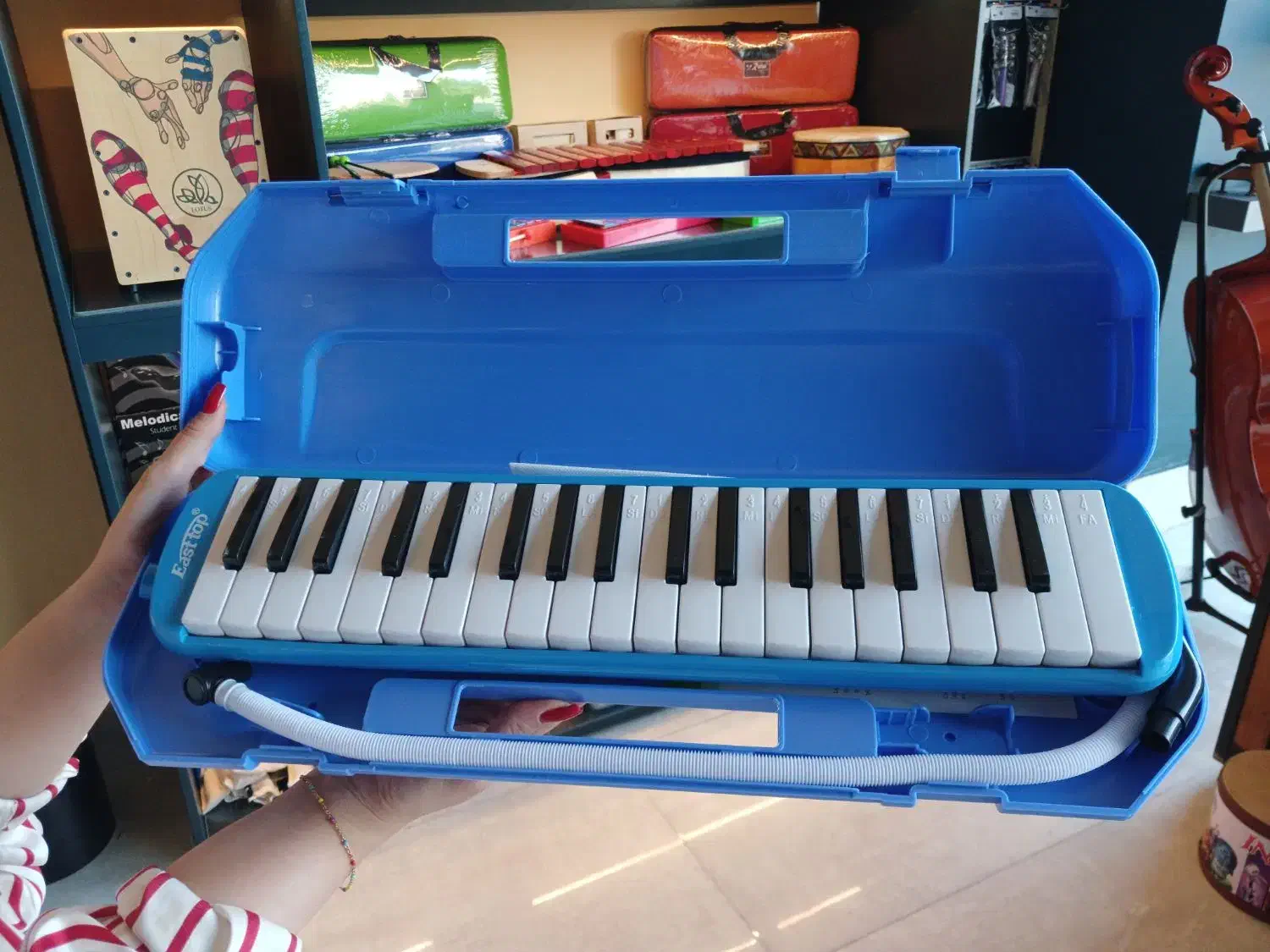 ملودیکا ایستاپ|پیانو، کیبورد، آکاردئون|قزوین, |دیوار