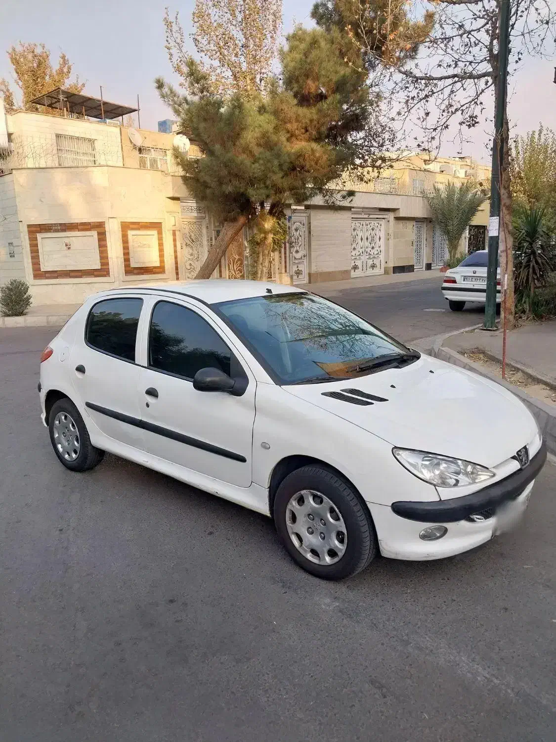 پژو ۲۰۶ تیپ ۲|خودرو سواری و وانت|ری, جوانمرد قصاب|دیوار