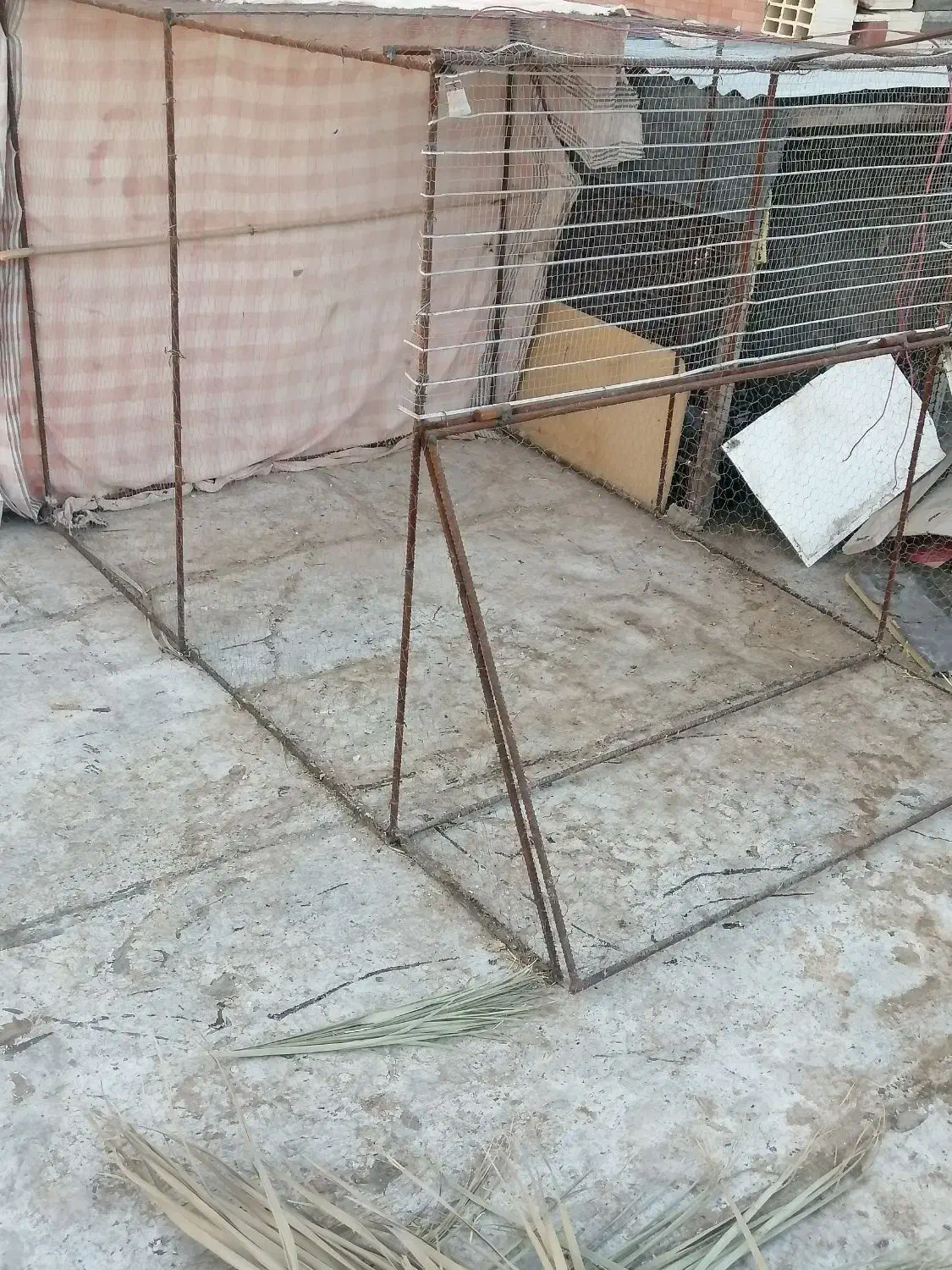 قفس|لوازم جانبی حیوانات|بم, |دیوار