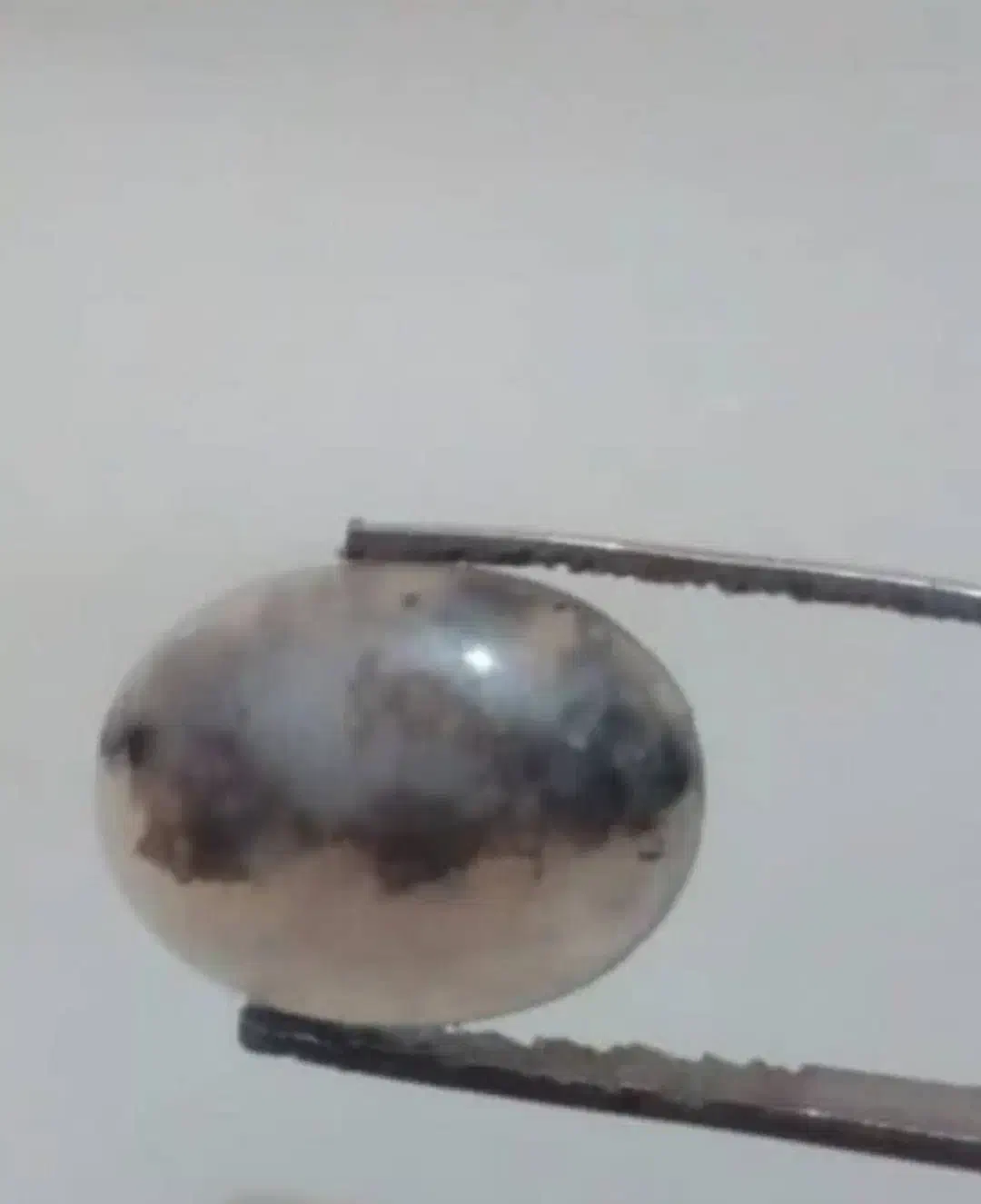 عقیق شجراسمی حسین محمد|کلکسیون اشیاء عتیقه|قم, زند آباد|دیوار