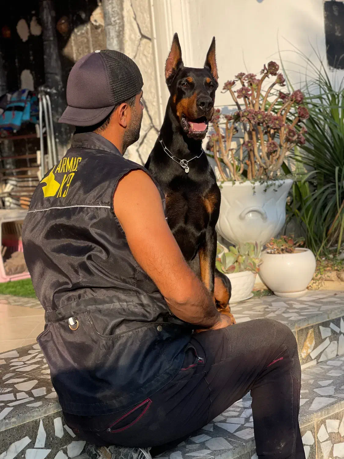 آموزش|خدمات آموزشی|نوشهر, |دیوار