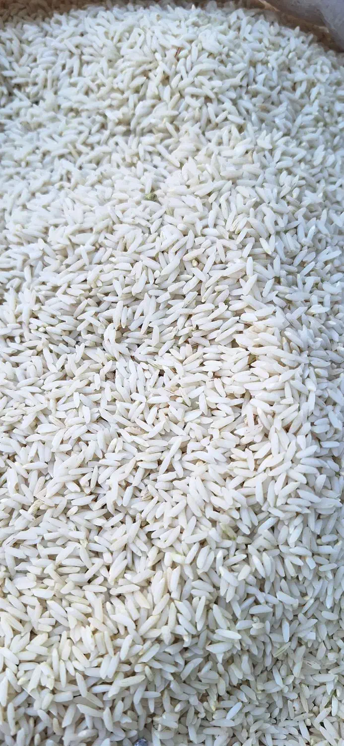 برنج و حبوبات محلی|عمده‌فروشی|دورود, |دیوار