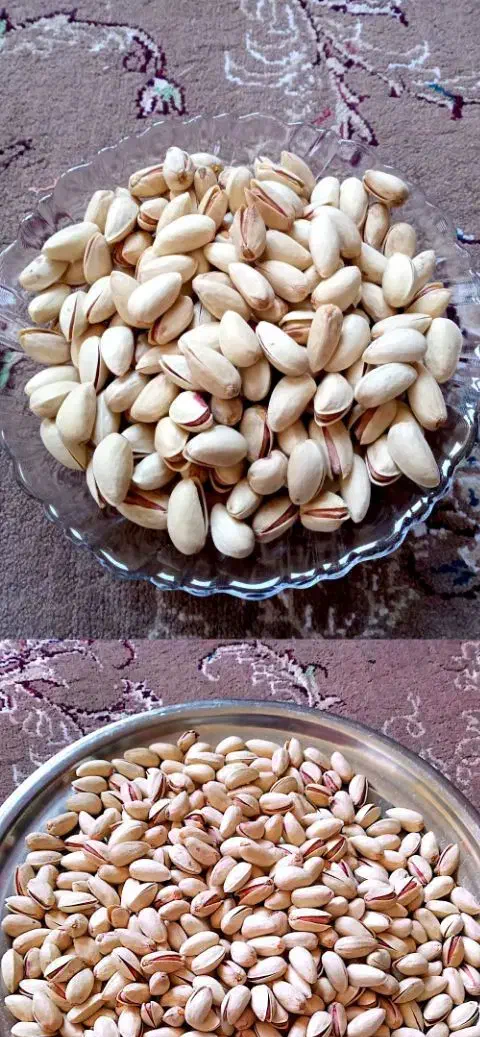 موکت|موکت|گلبهار, شهر جدید گلبهار|دیوار