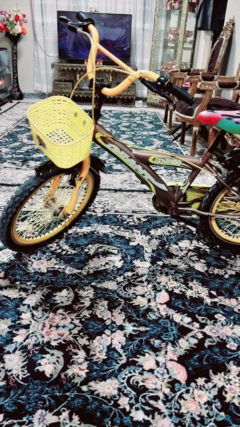 دوچرخه ۲۰|دوچرخه، اسکیت، اسکوتر|اراک, |دیوار