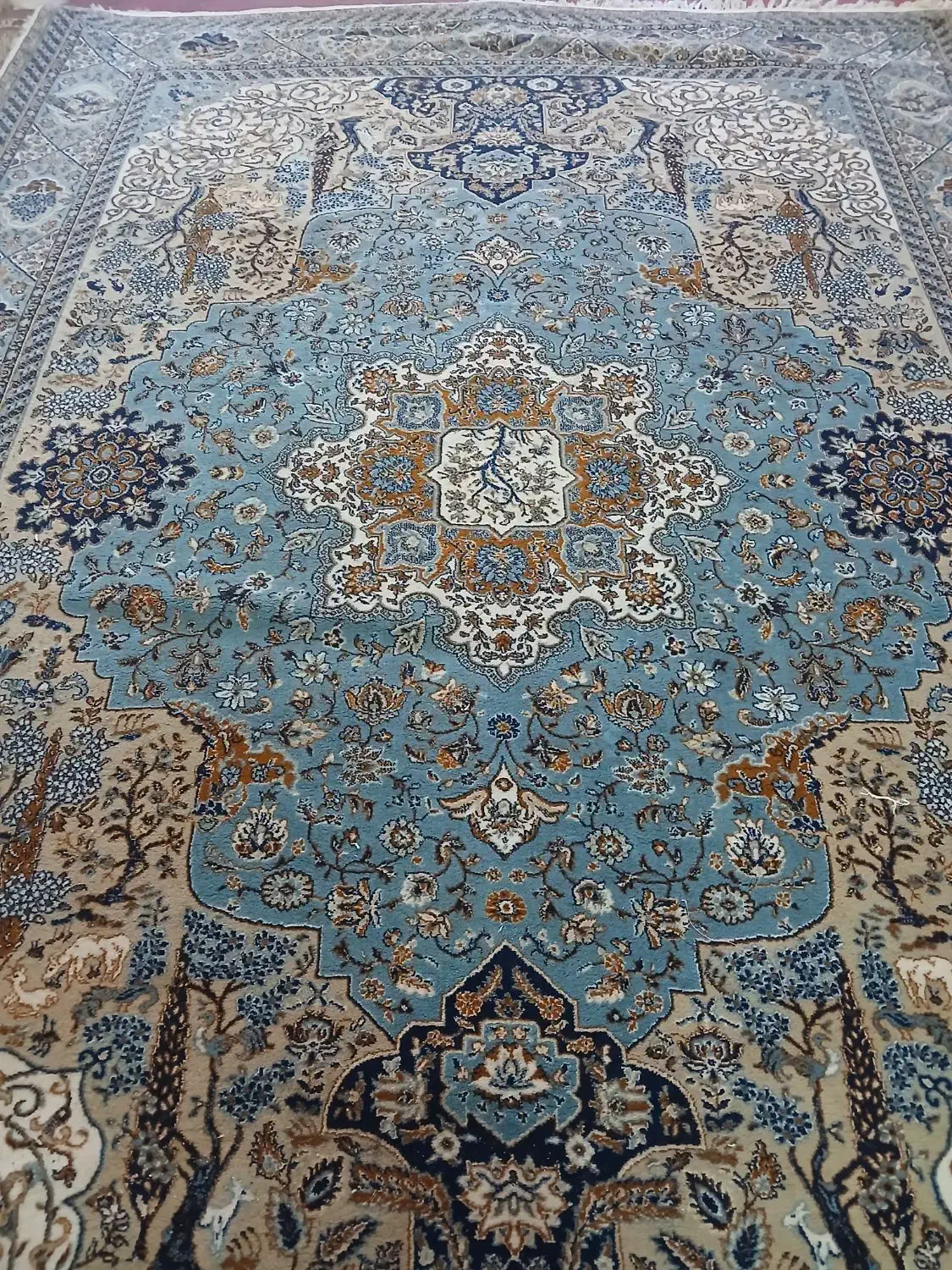 فرش ۱۲متری و۹متری|فرش|یزد, |دیوار