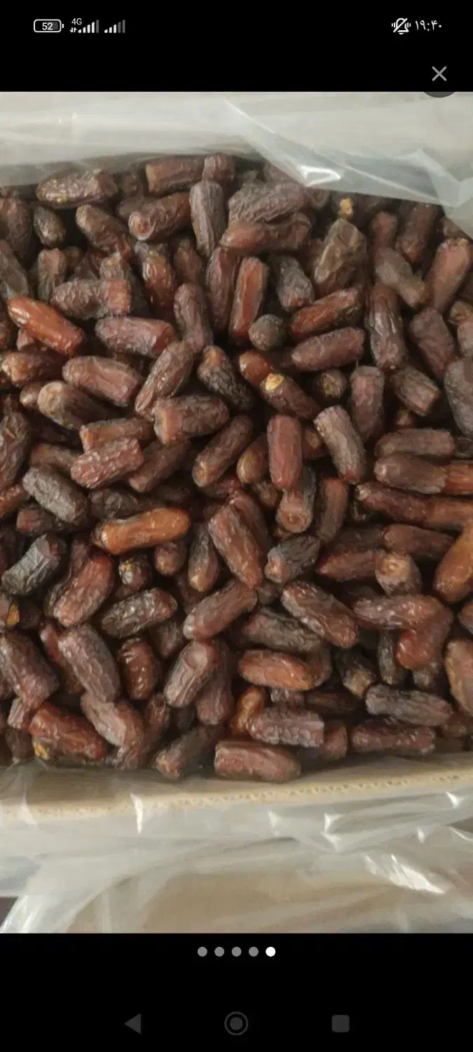 خرما پیارم|حراج|داراب, |دیوار