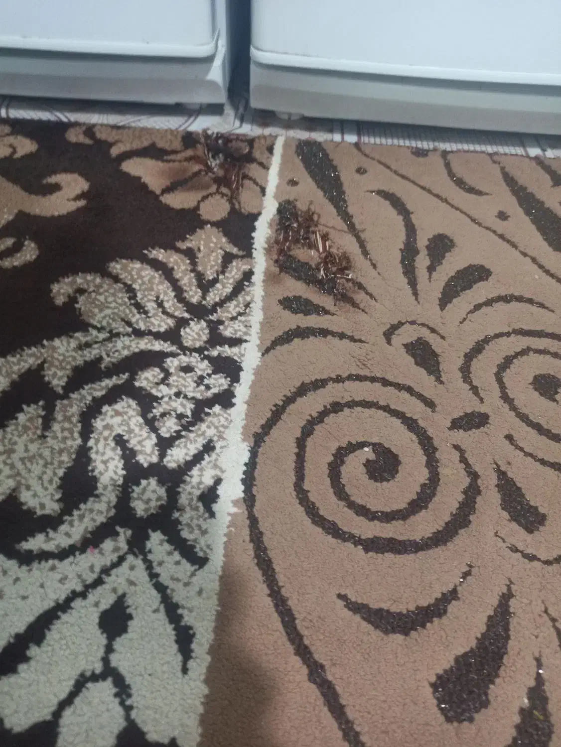 گلیم فرش|گلیم، جاجیم، گبه|اسلام‌‌آباد غرب, |دیوار