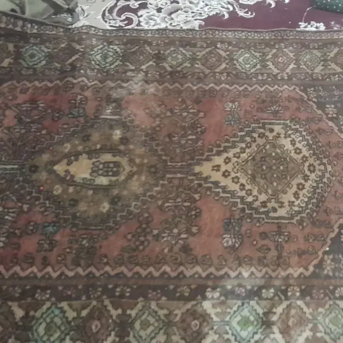 برای فروش|فرش|ینقاق, |دیوار