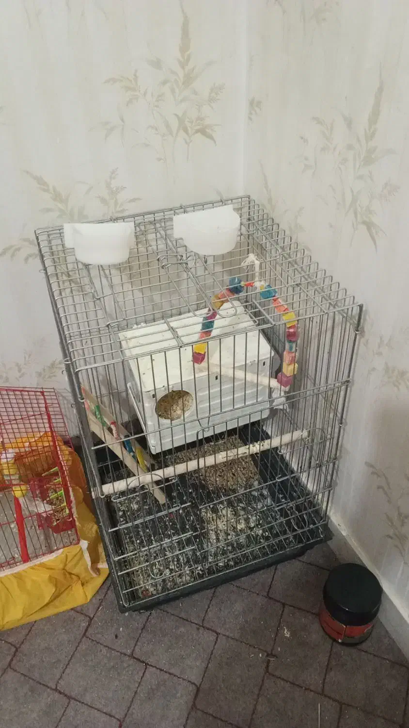 قفس ب|لوازم جانبی حیوانات|ایلام, |دیوار