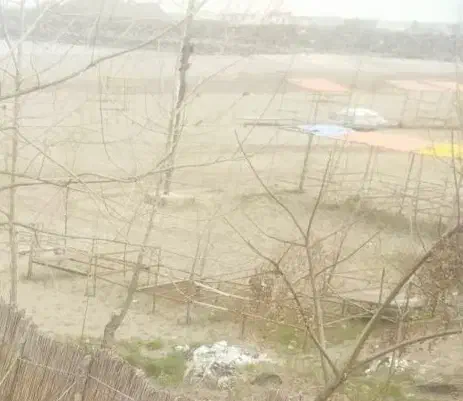 ژرمن ماده دو ساله|سگ|بندر انزلی, ساحل قو|دیوار