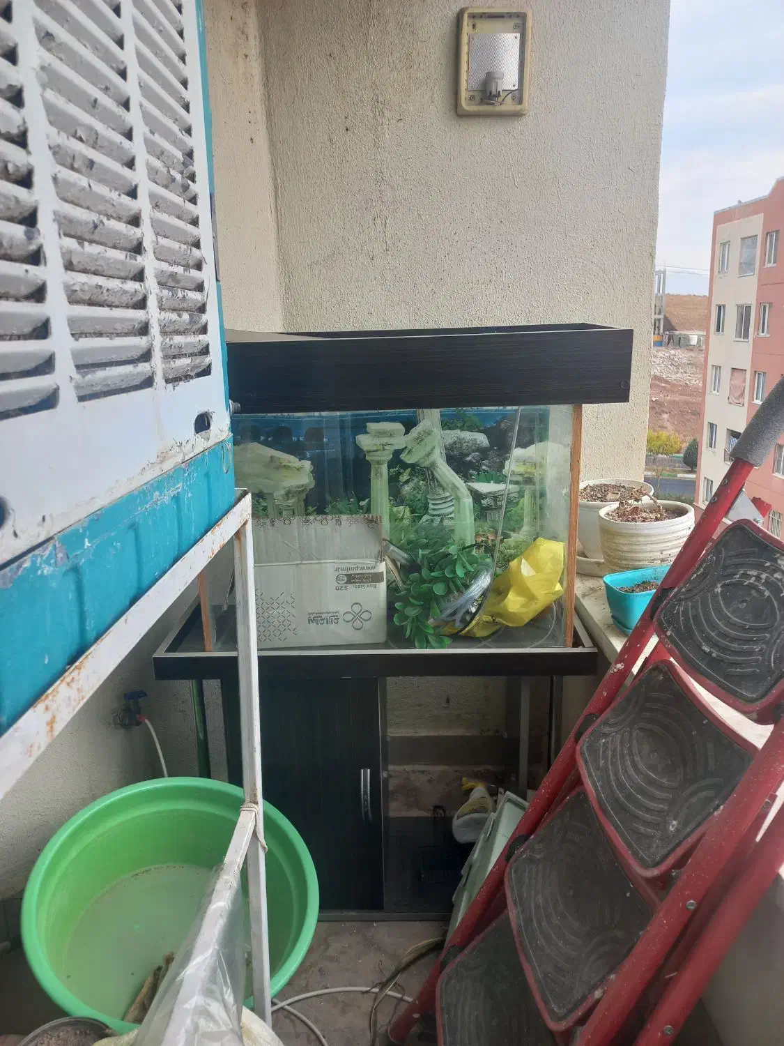 آکواریوم سالم وزیبا دلیل فروش نداشتن جا|ماهی|پردیس, فاز ۳|دیوار