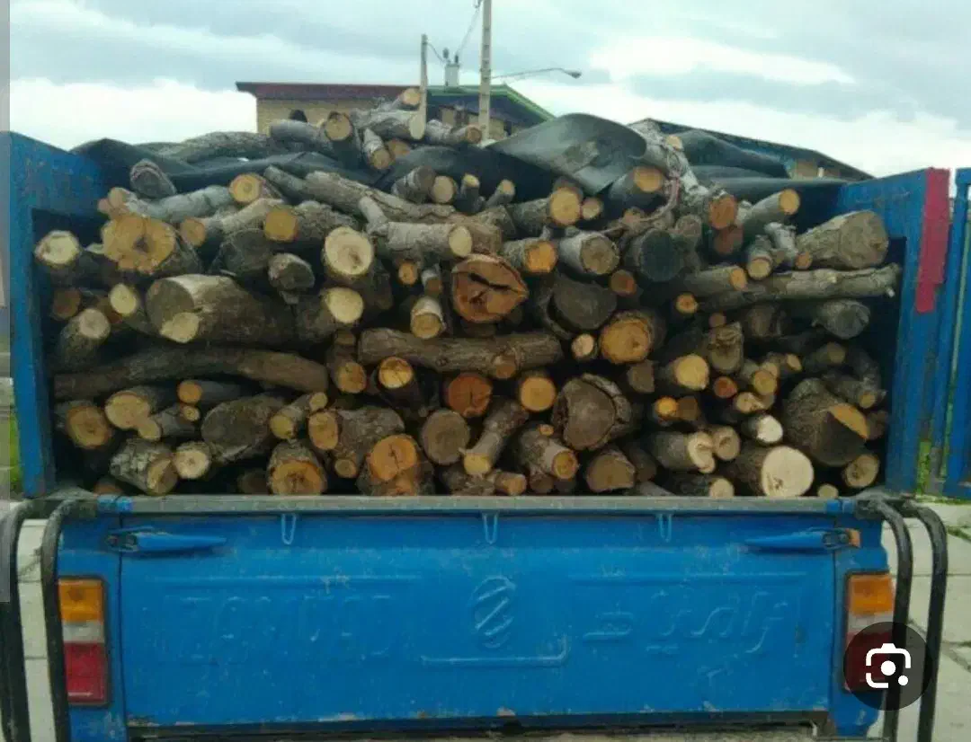 خرید فروش چوب از باغات وخانه های کلنگی|خدمات باغبانی و درختکاری|مرند, |دیوار