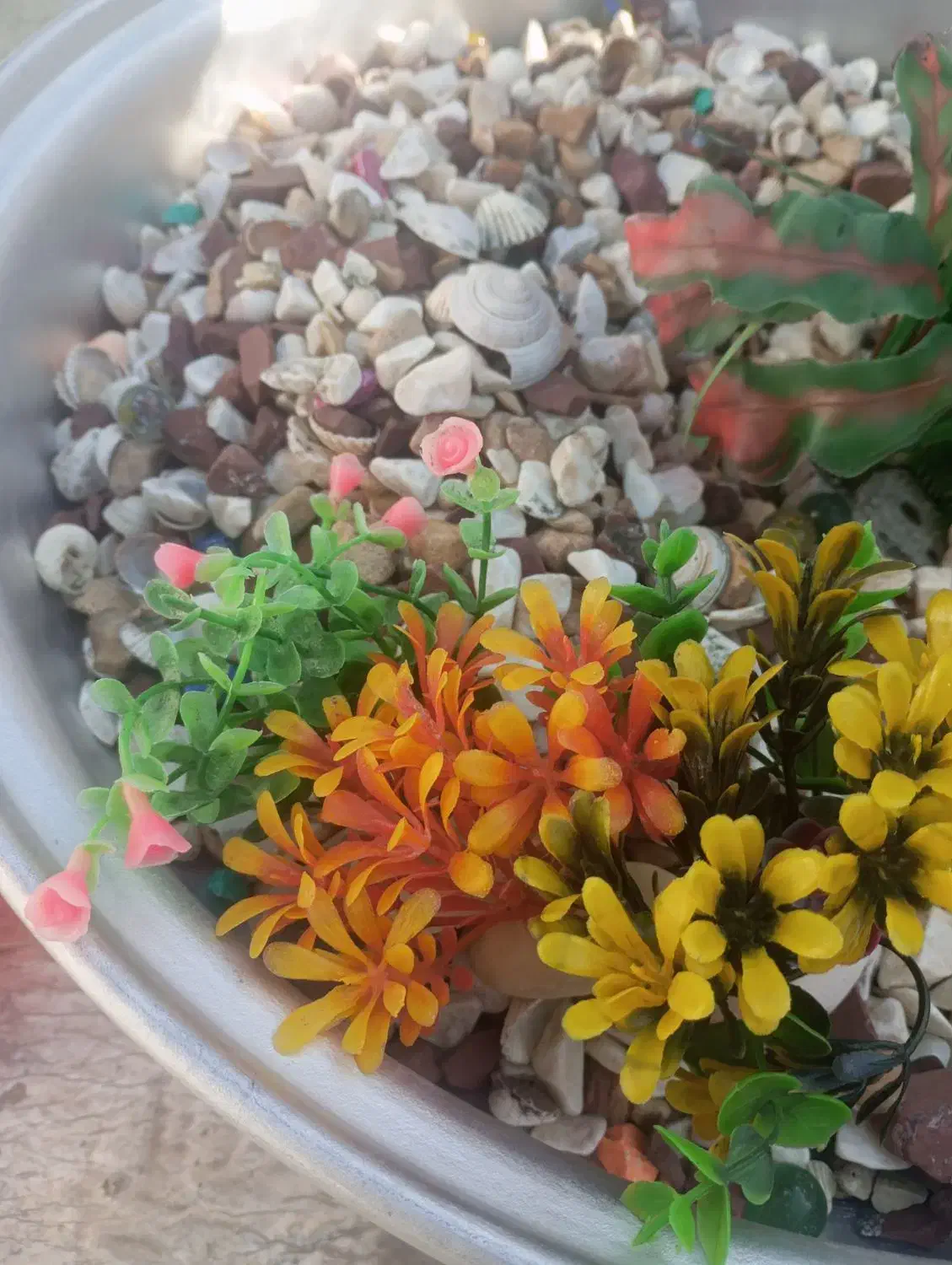 سنگ تزئینی آکواریوم|ماهی|بروجرد, |دیوار