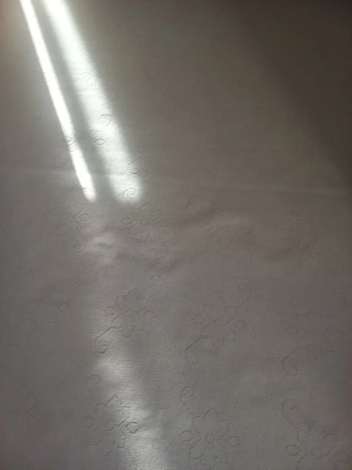 سلام‌یک‌قطعه‌دام‌داری‌درفیزاباد‌به‌فروش‌می‌رسد|فروش زمین و ملک کلنگی|دیواندره, |دیوار