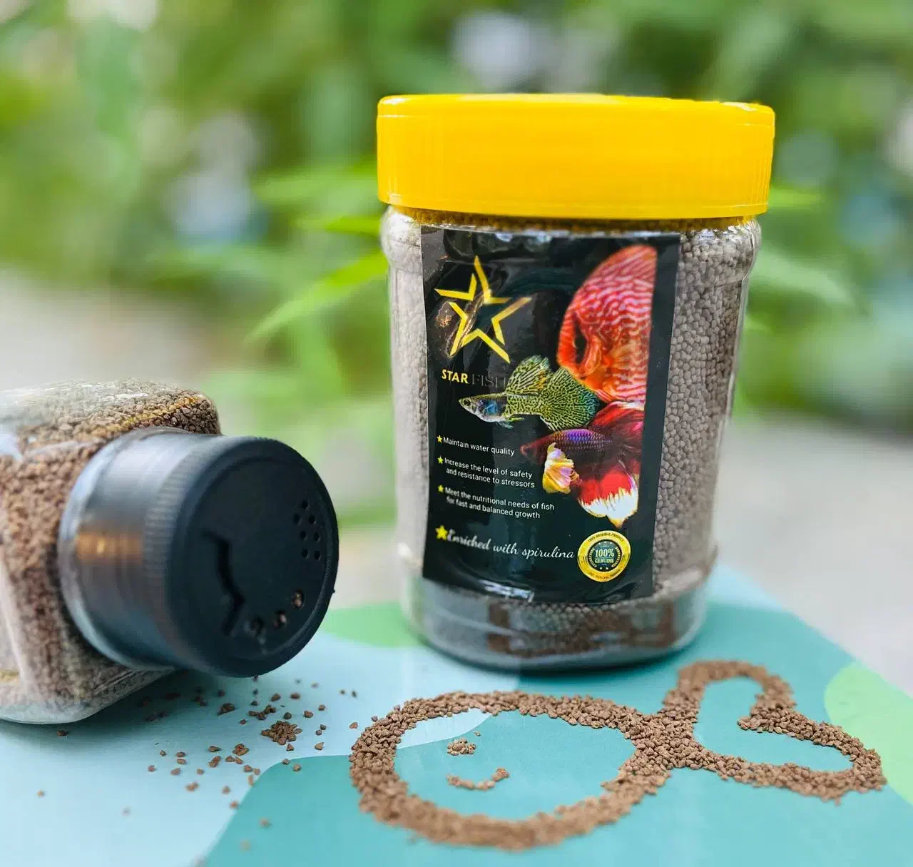 خوراک غذای آبزیان ماهی زینتی آکواریومی|ماهی|مشهد, کوثر|دیوار