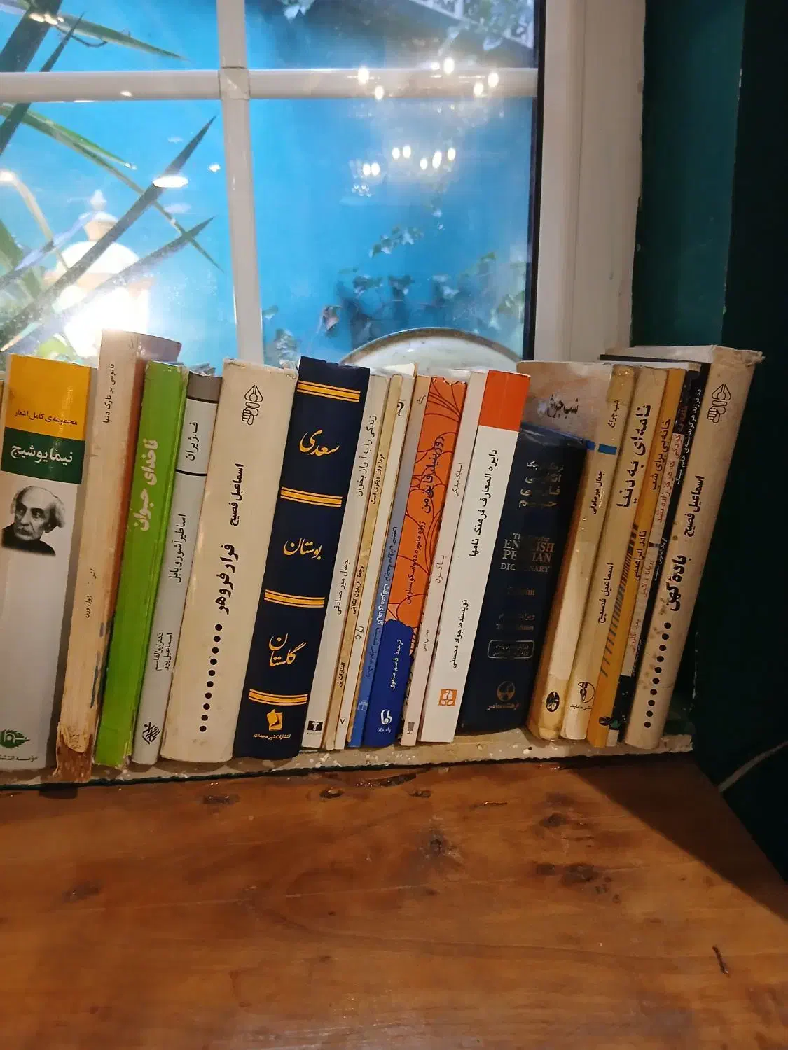 کتابهای قدیمی و جدید|کتاب و مجله تاریخی|رشت, کاکتوس|دیوار