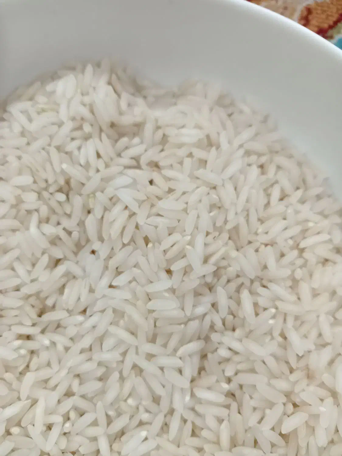 برنج بینام کشت دوم|خوردنی و آشامیدنی|بابل, |دیوار