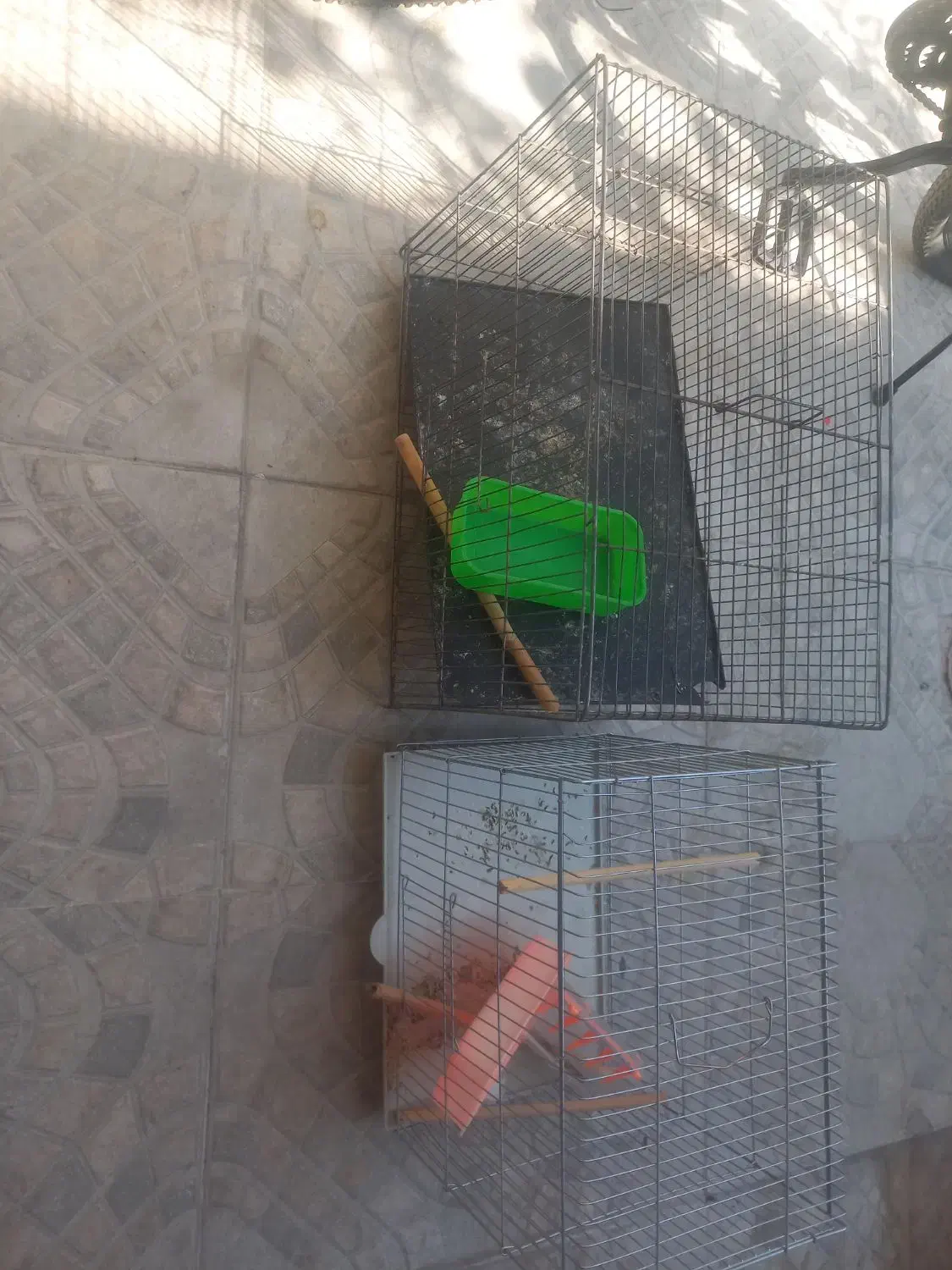 قفس|لوازم جانبی حیوانات|مرودشت, ژیان|دیوار