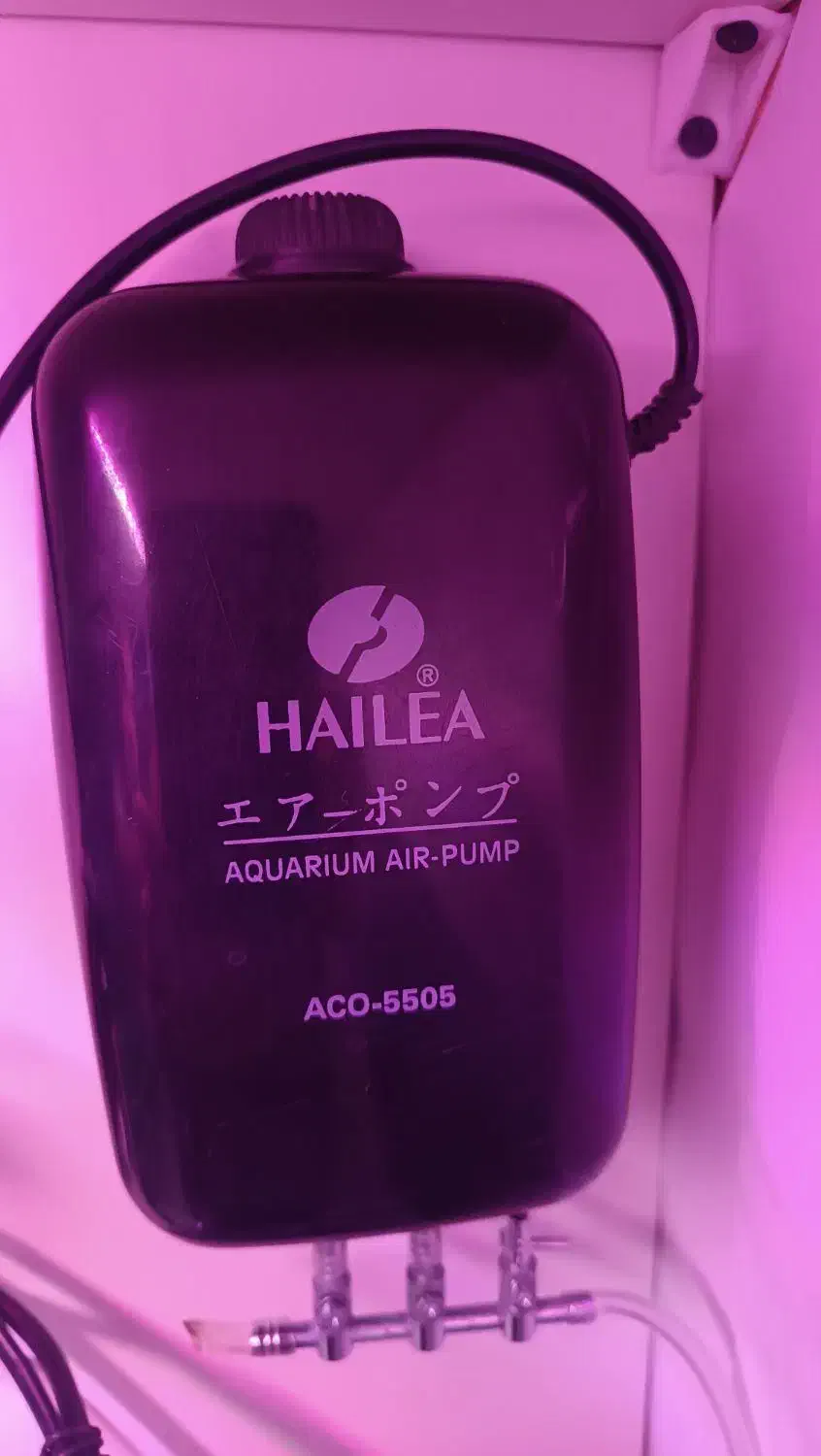 پمپ هوا هایلا 5505|ماهی|رباطکریم, رباطکریم|دیوار