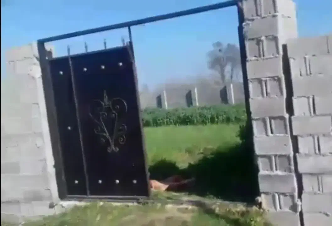 زمین مسکونی|فروش زمین و ملک کلنگی|فومن, |دیوار