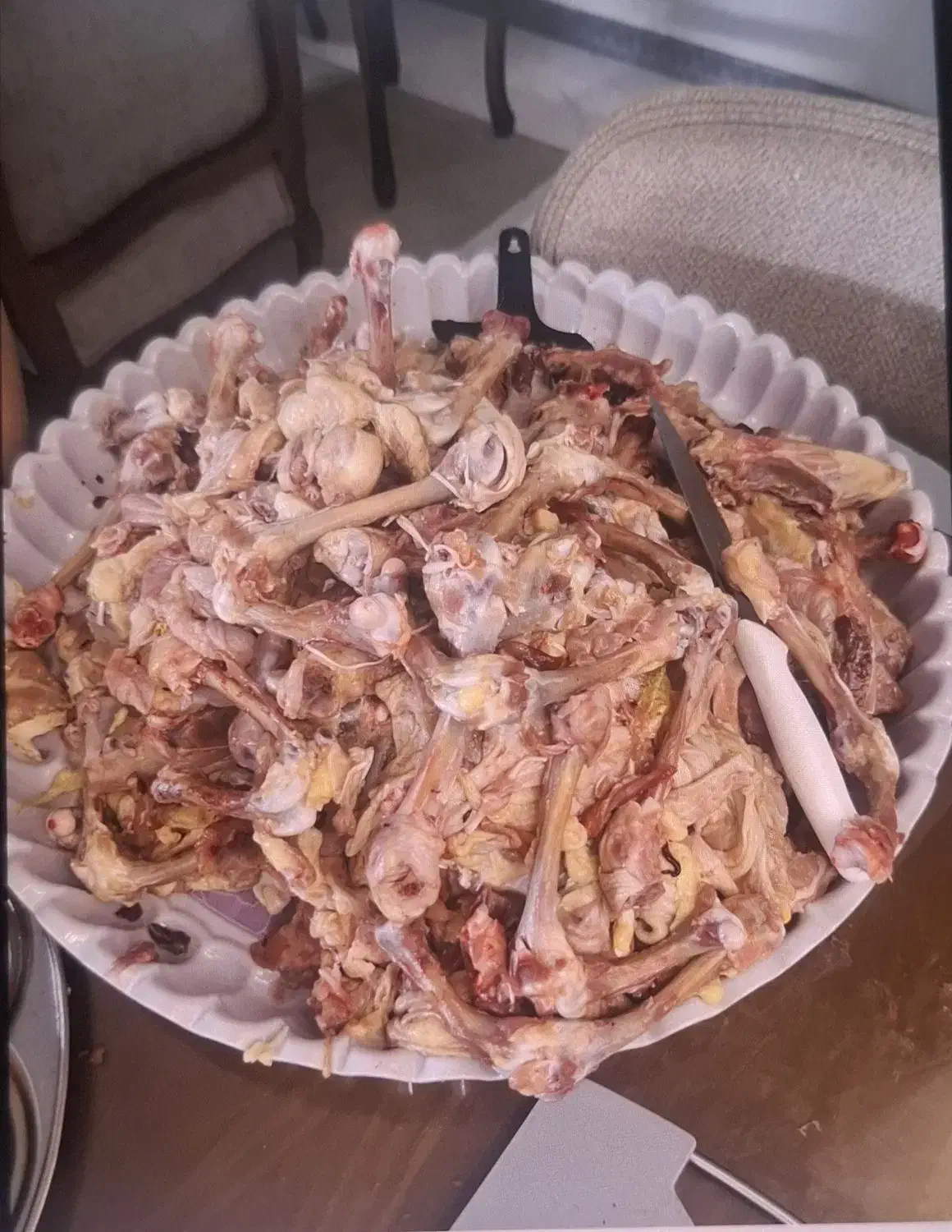 اسکلت و ضایعات مرغ گرم مخصوص خوراک سگ|لوازم جانبی حیوانات|اصفهان, الهیه|دیوار