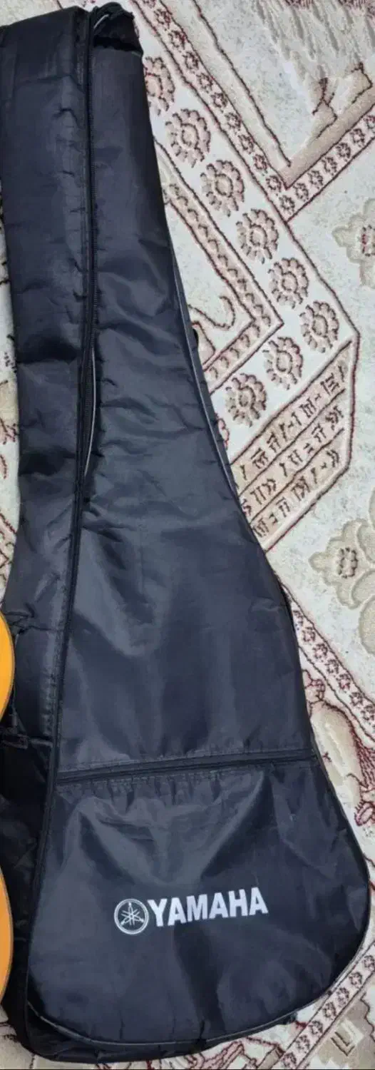 کیف گیتار|گیتار، بیس، امپلیفایر|دزفول, |دیوار