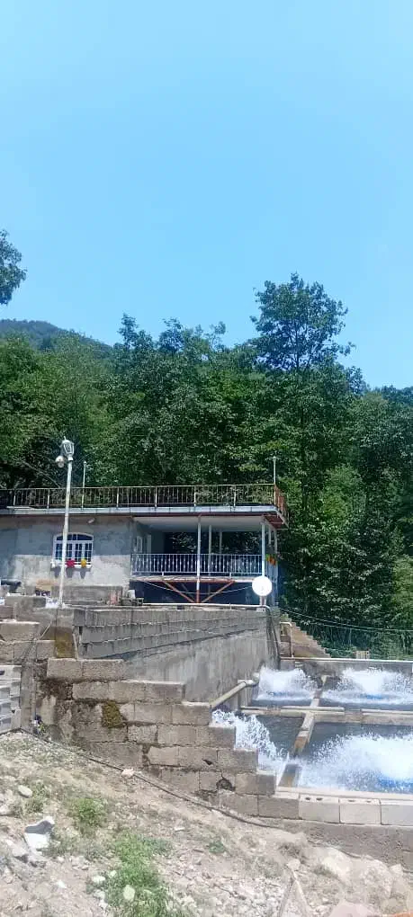 اجاره مزرعه پرورش ماهی قزل آلا با آب چشمه|اجارهٔ دفتر صنعتی، کشاورزی، تجاری|ماسال, |دیوار